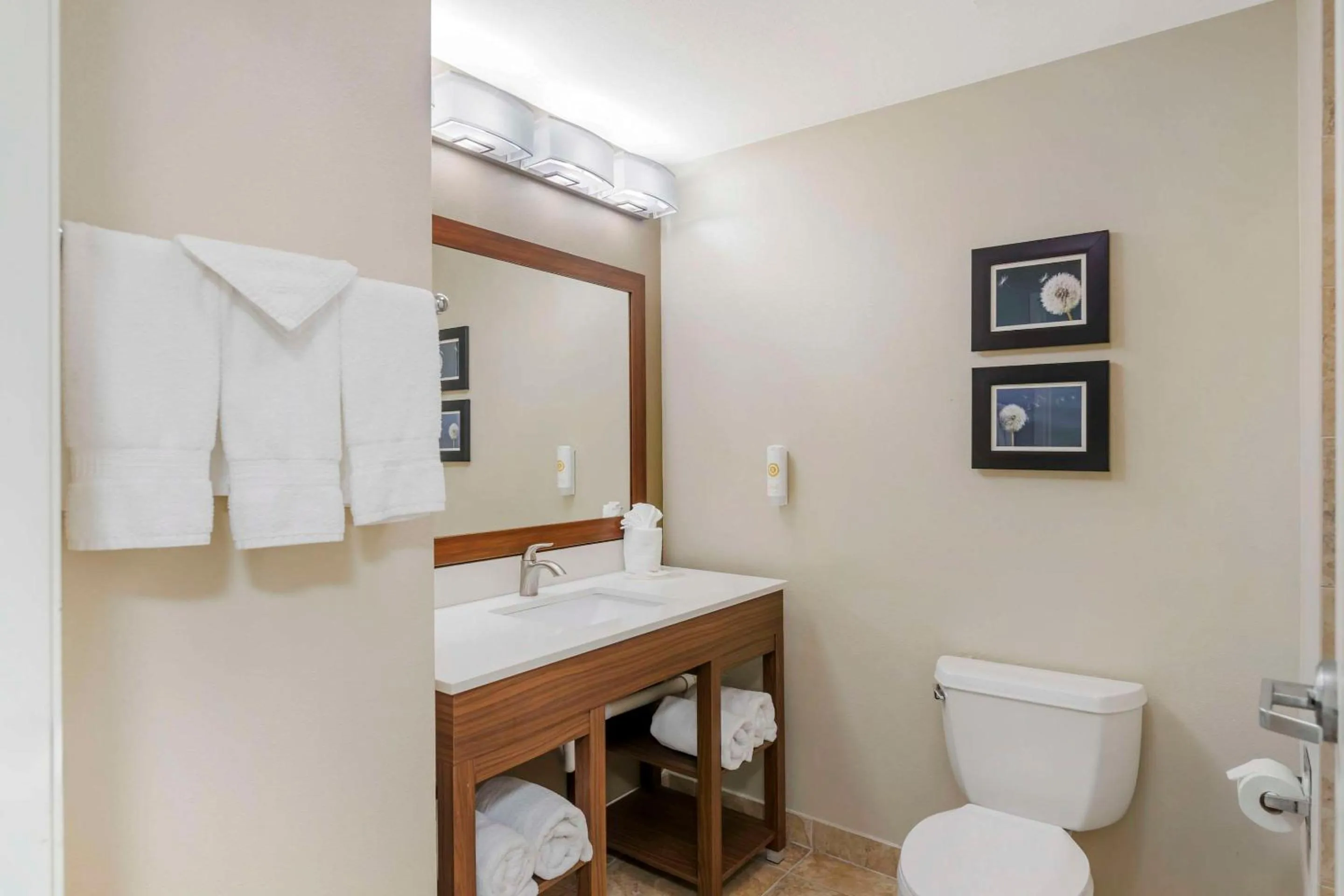 Toilet in Comfort Inn & Suites