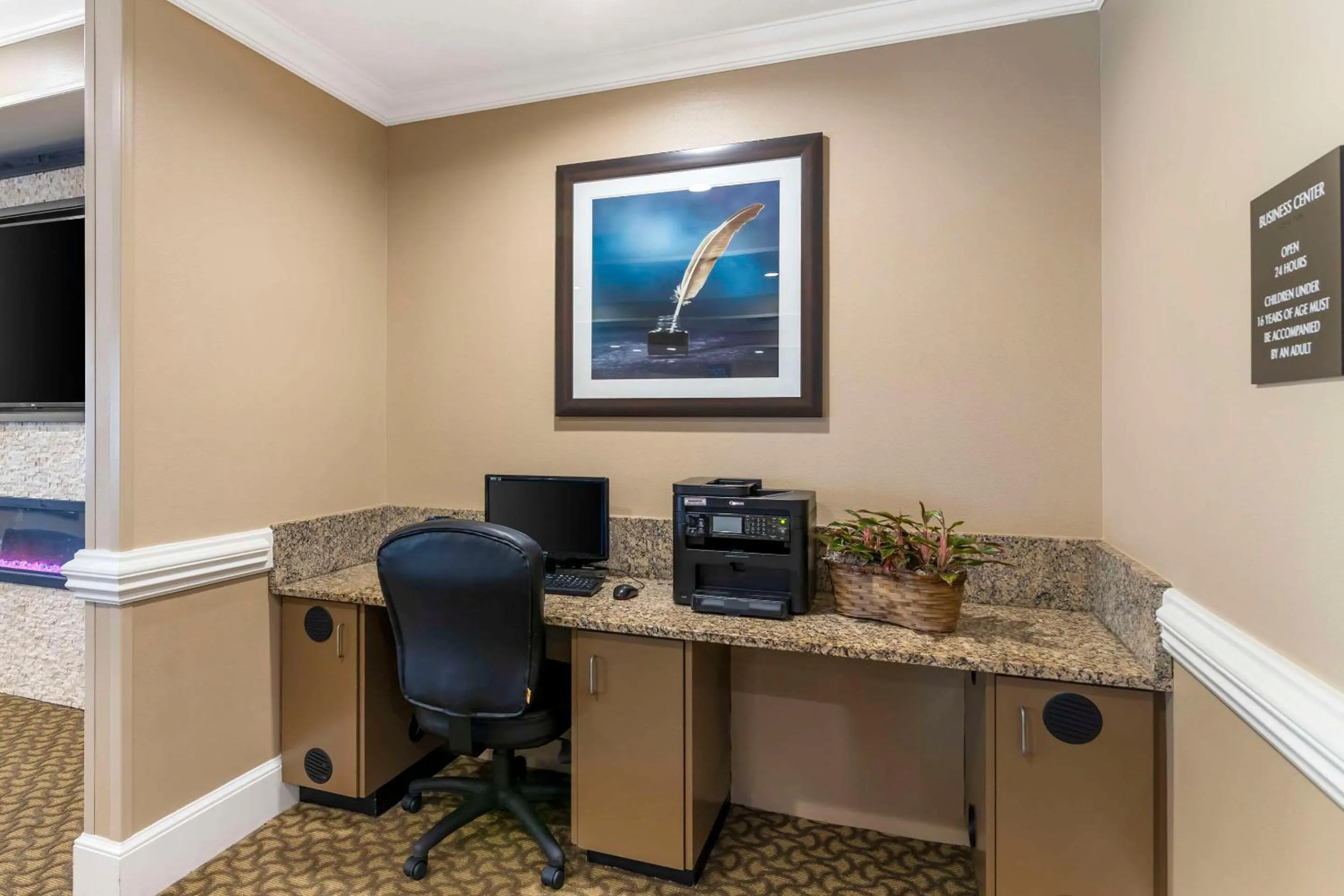 Business facilities in Comfort Inn & Suites