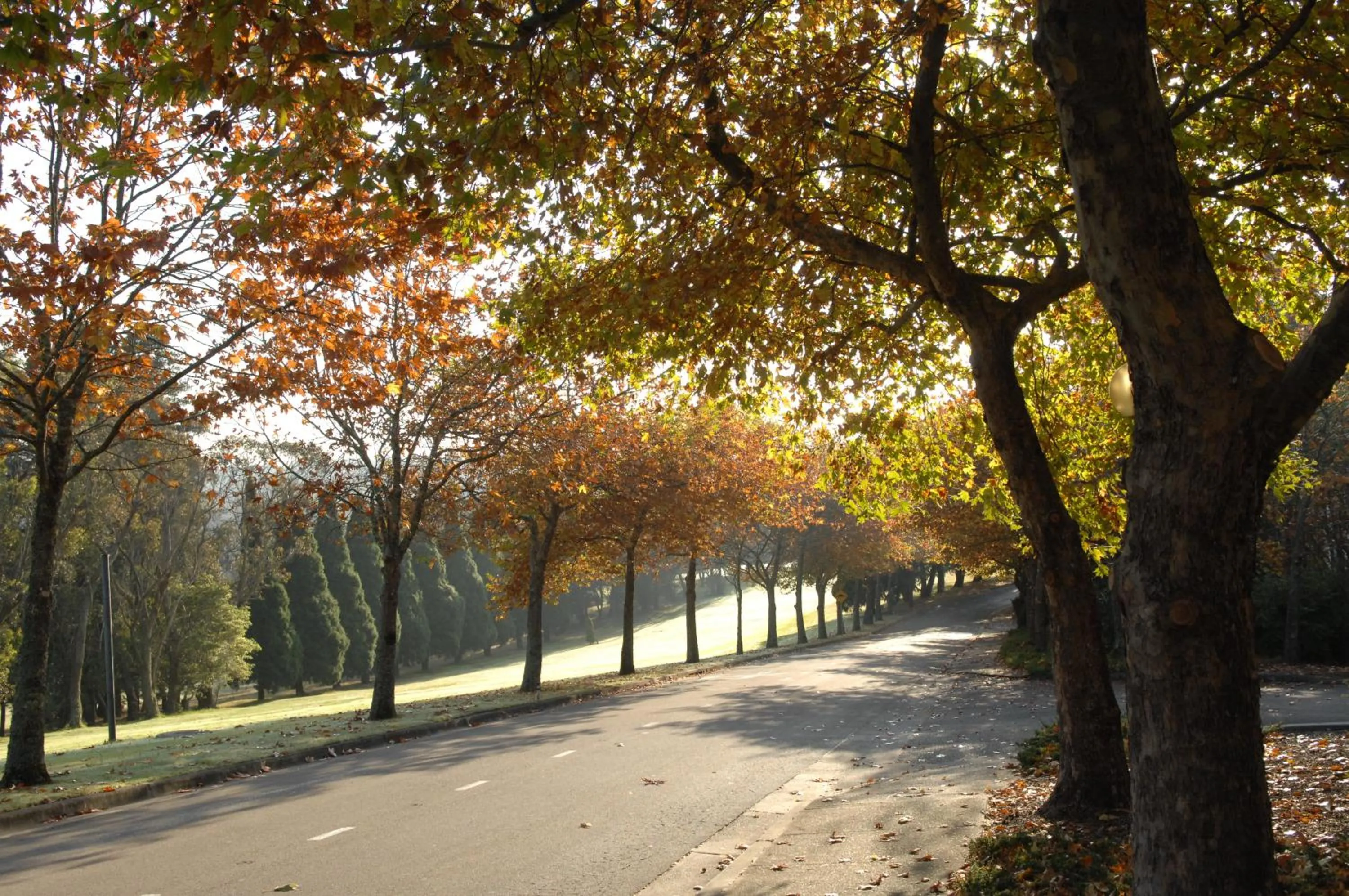 Natural landscape in Fairmont Resort Blue Mountains MGallery Collection