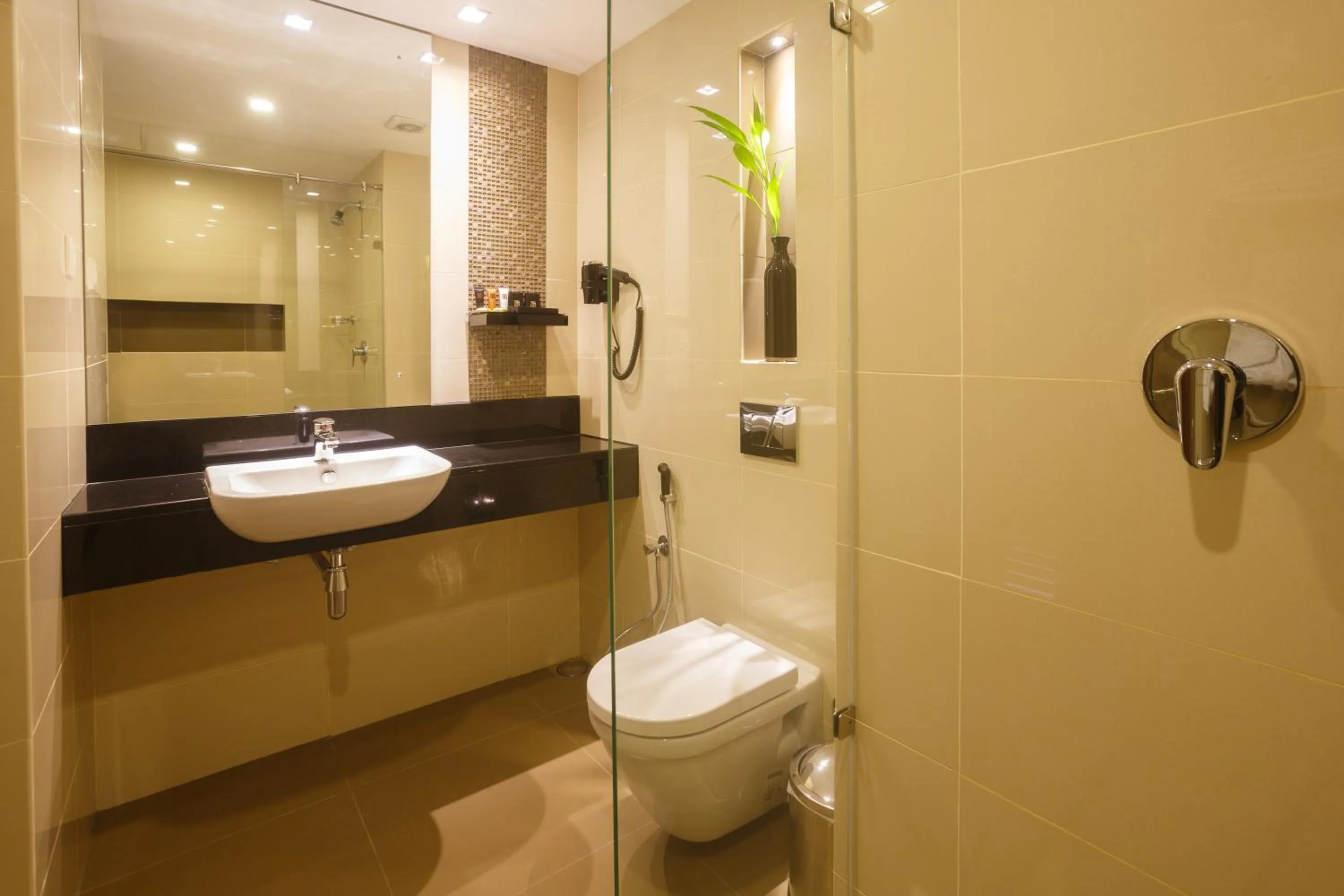 Shower in Renuka City Hotel