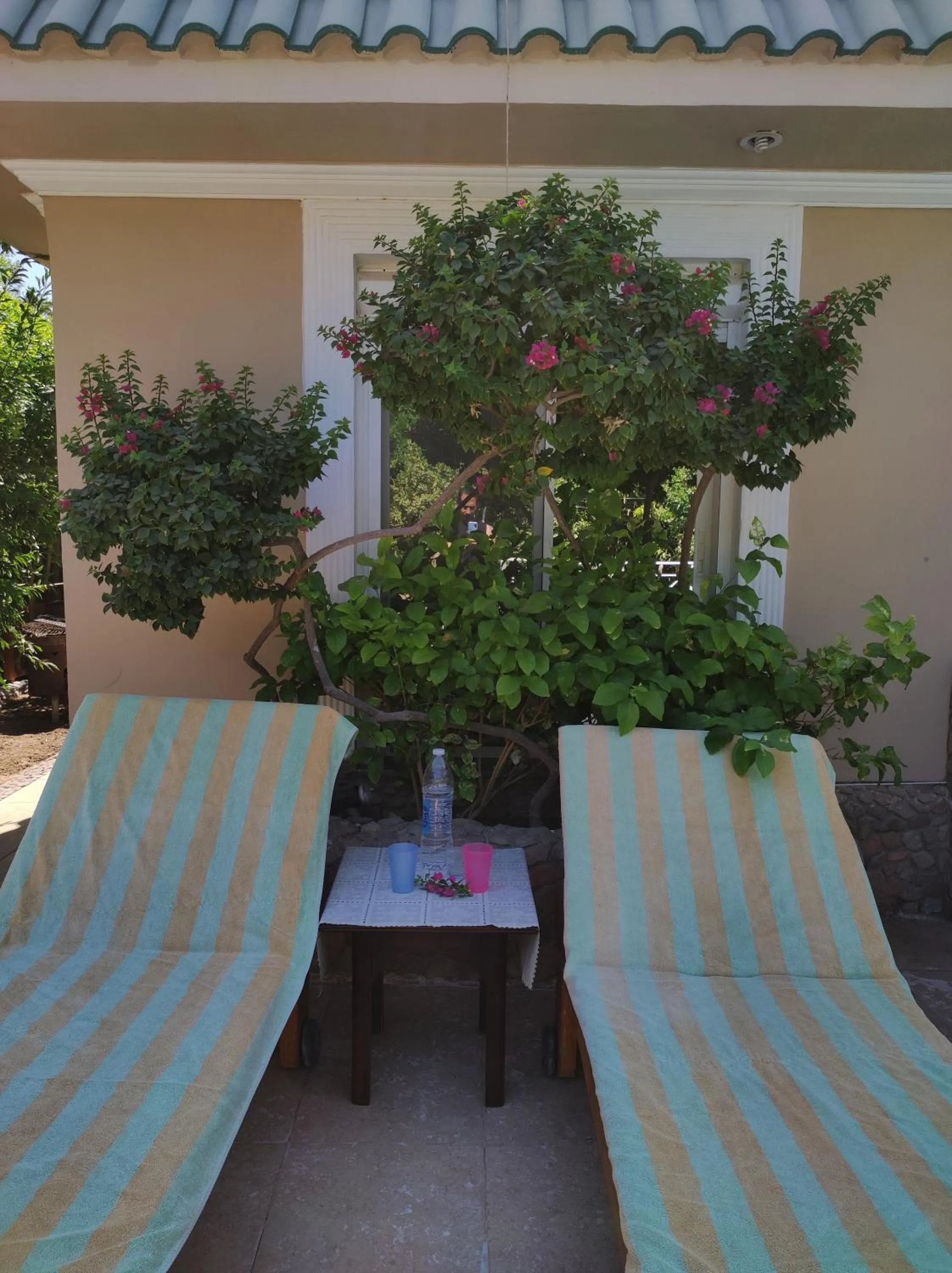 Swimming pool in Villa Rayan