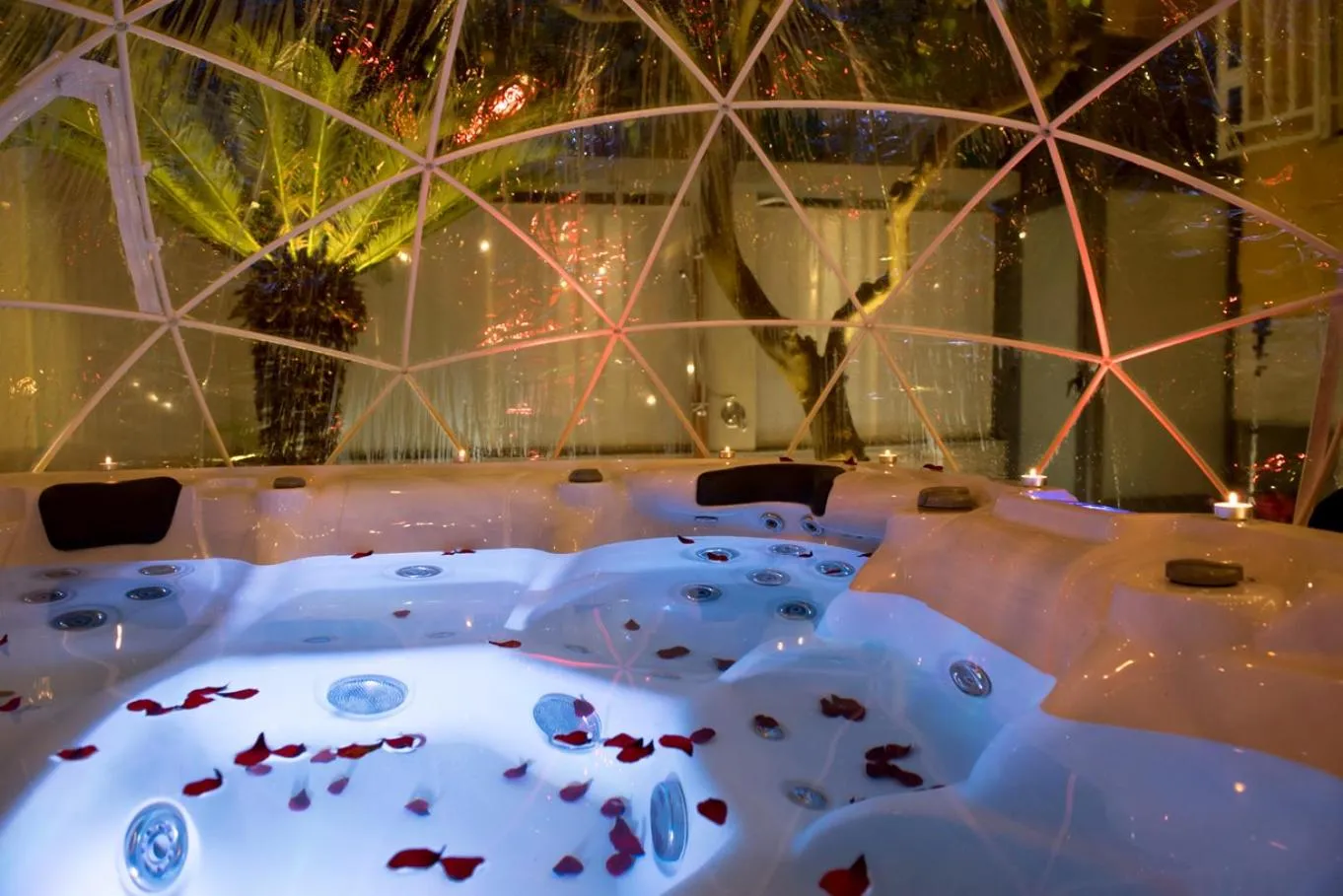 Garden in Eco di Napoli