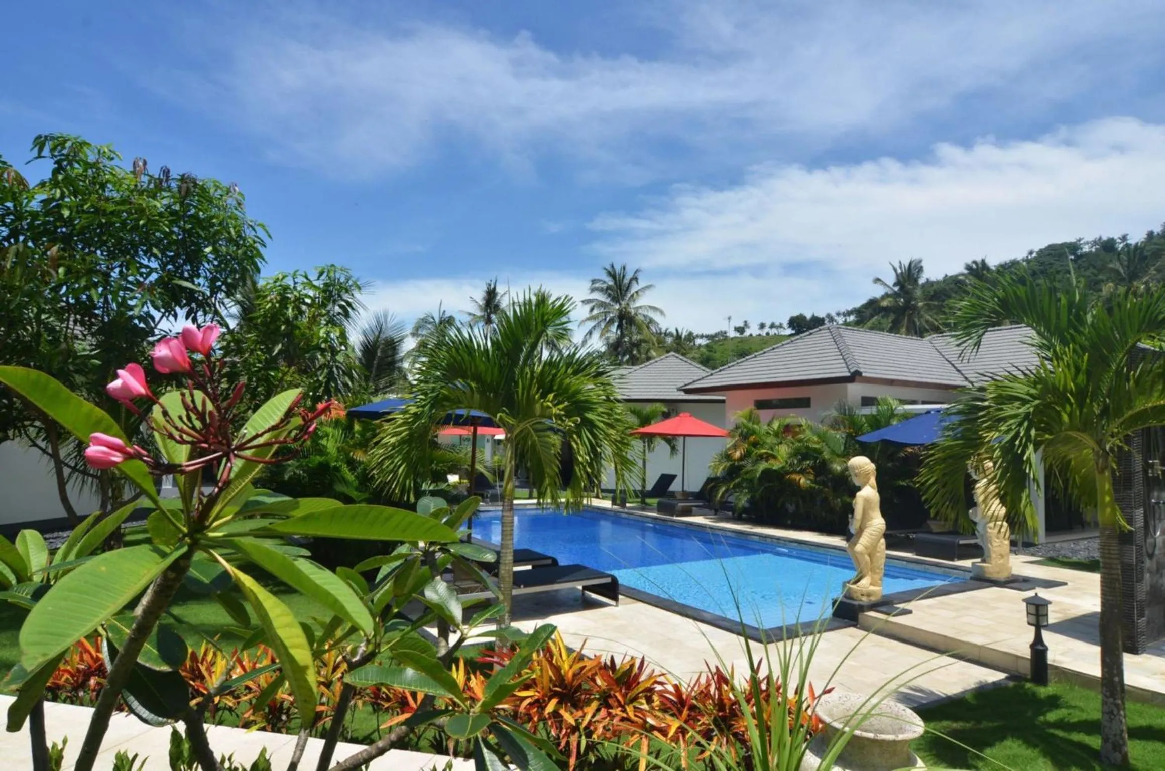 Pool view in Dream Estate Resort