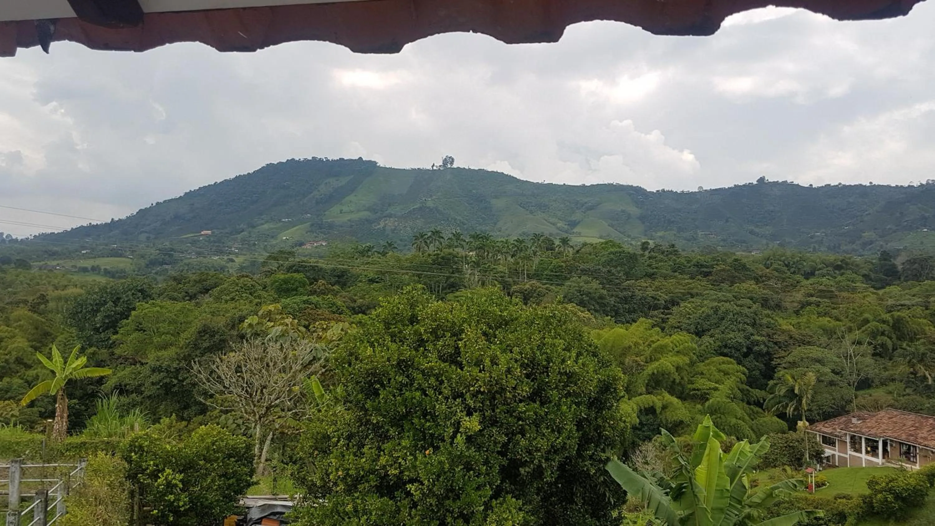 El Portal de Mariana