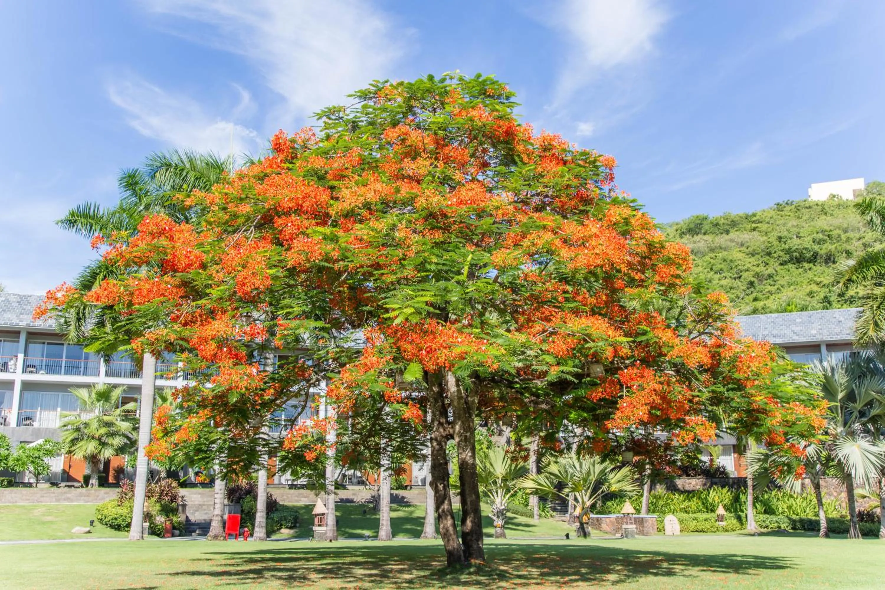 Garden view in Mandarin Oriental, Sanya