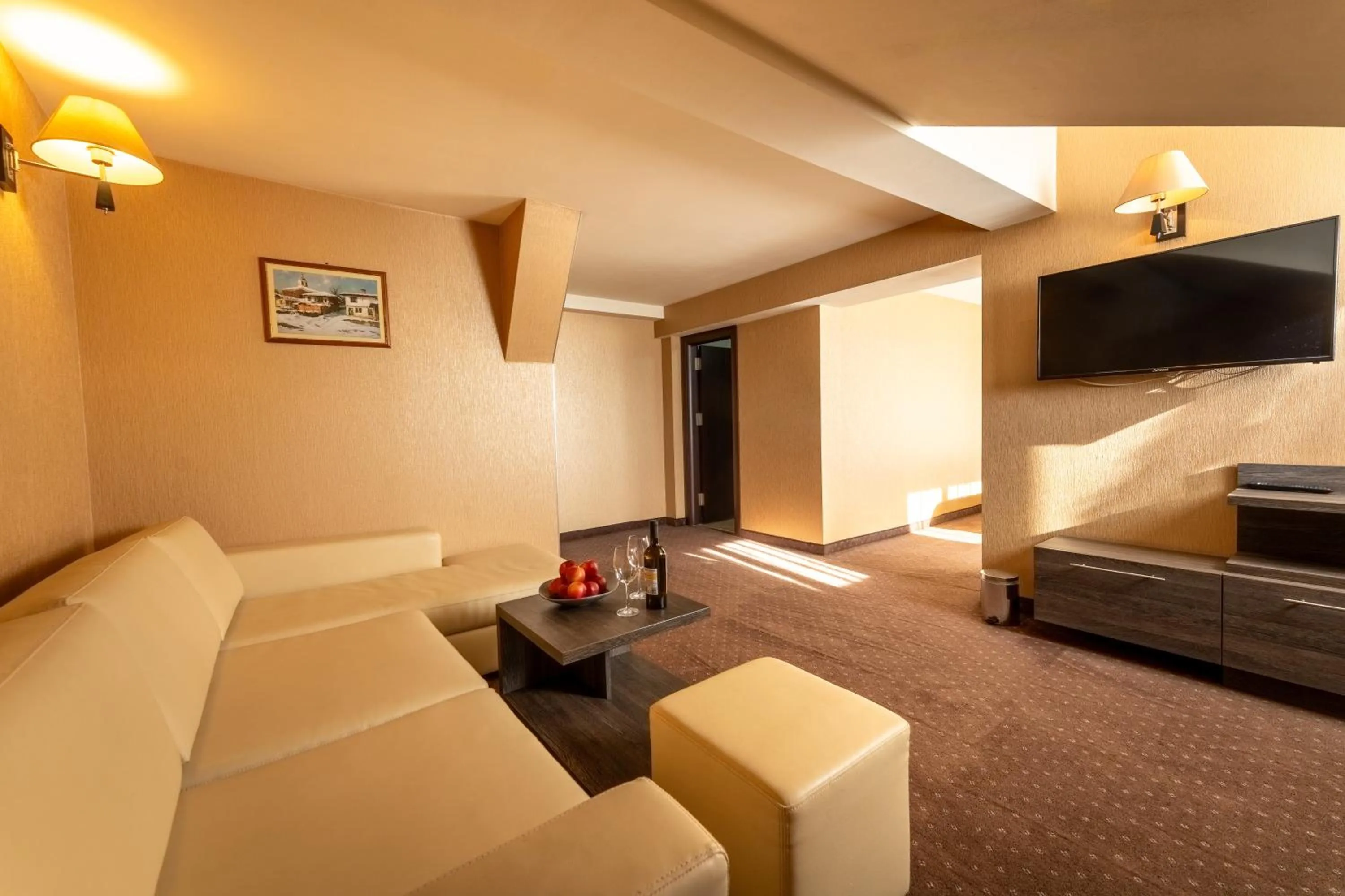 TV and multimedia in Spa Hotel Dvoretsa