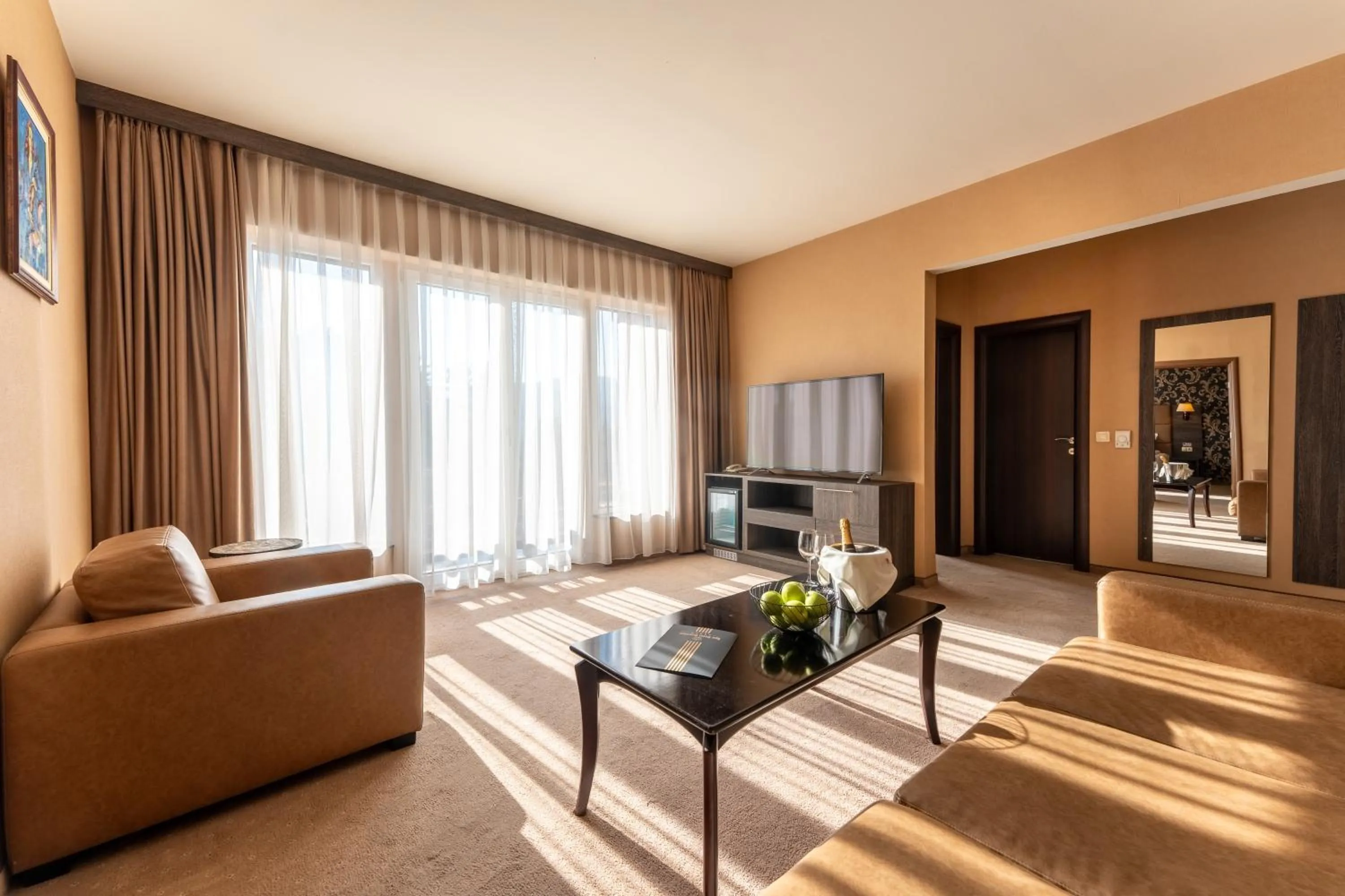 TV and multimedia in Spa Hotel Dvoretsa