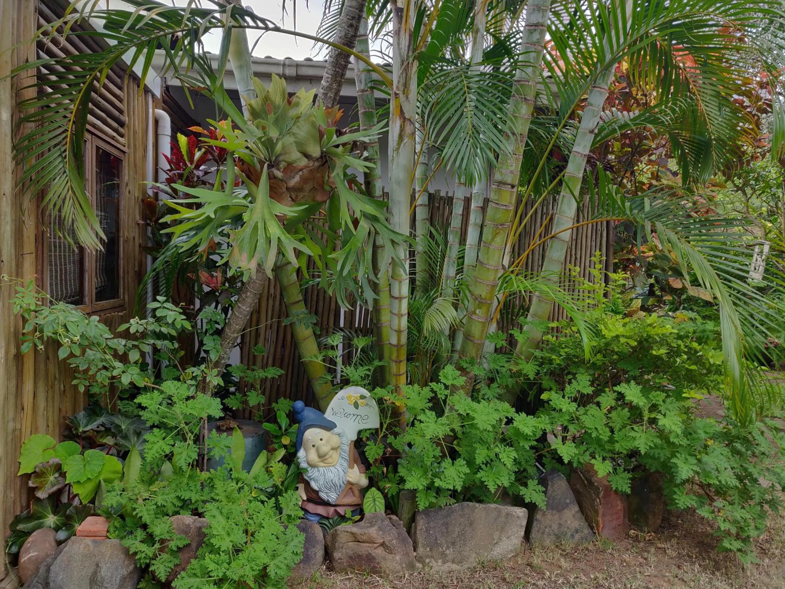 Garden in Jessica's Self-catering