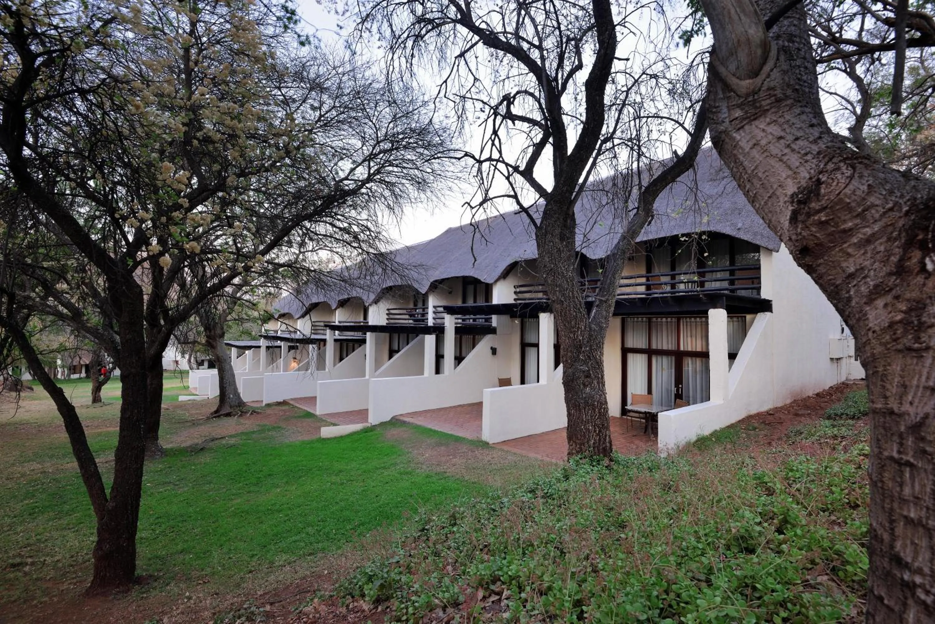 Photo of the whole room in Kwa Maritane Lodge