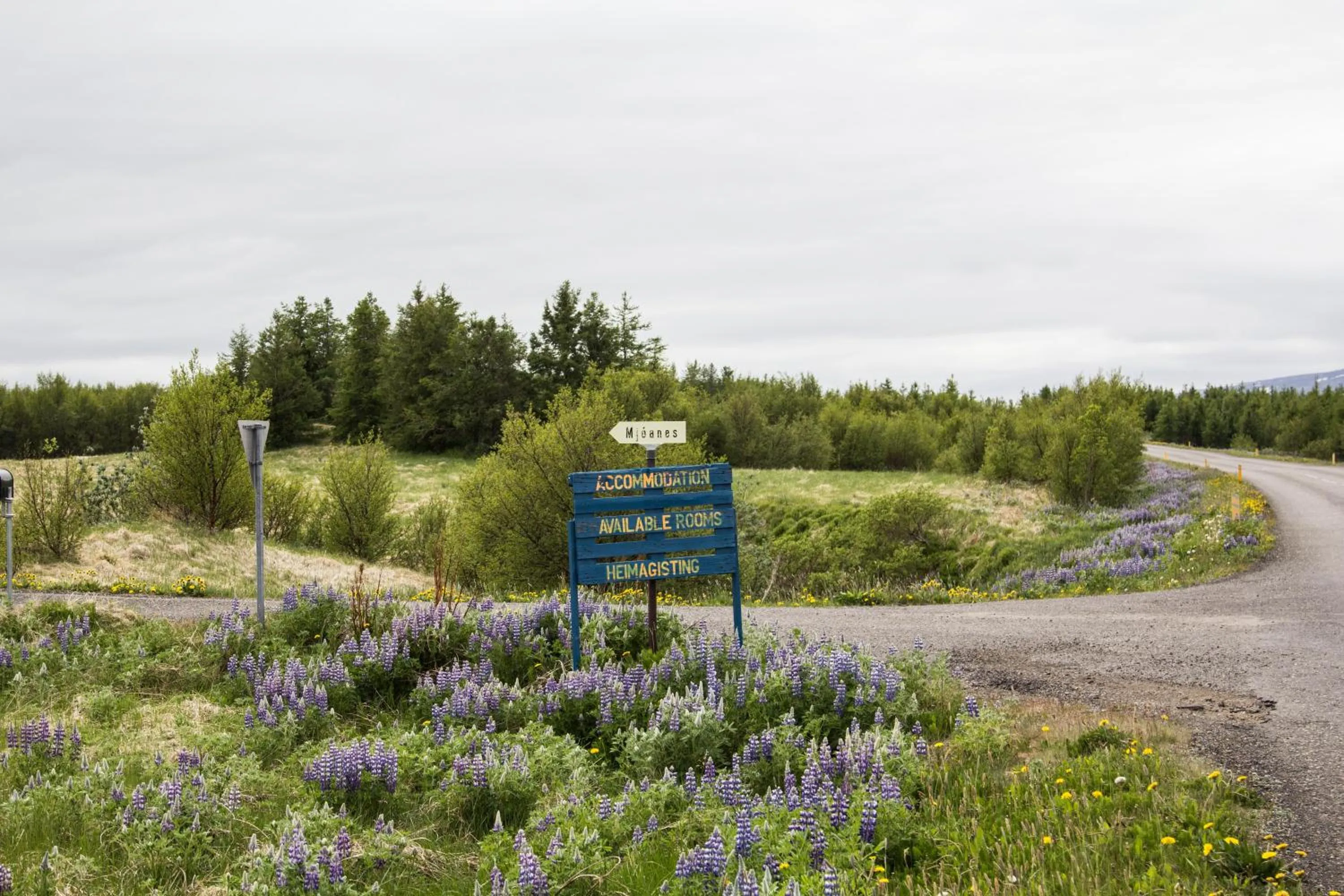 Street view in Mjóanes accommodation