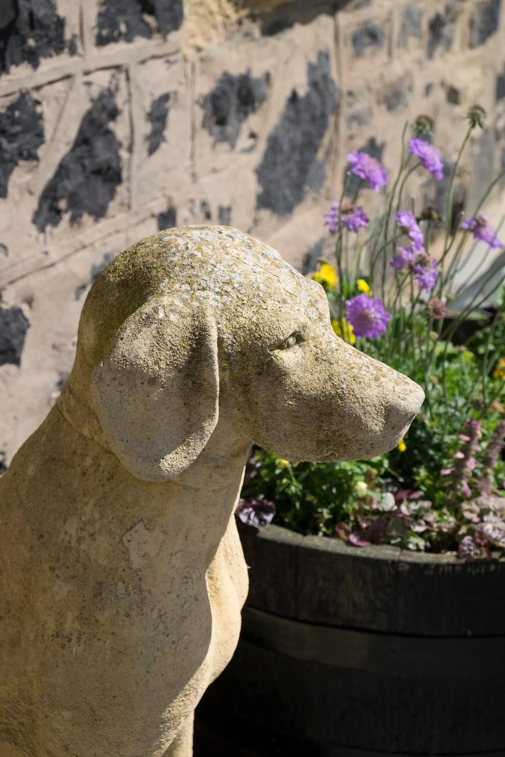 Pets in Allanton Inn