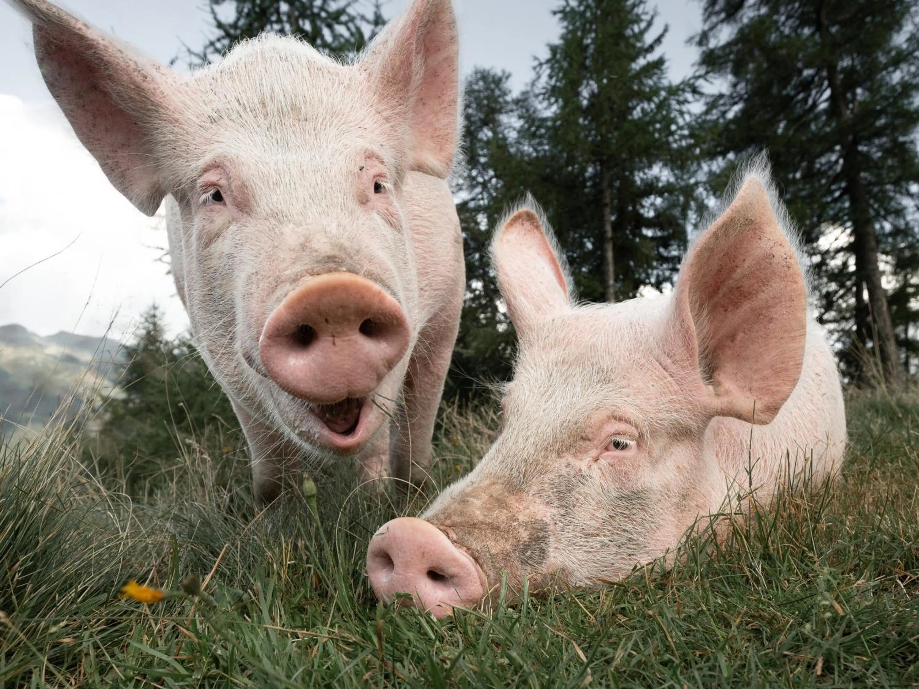 Neighbourhood in Hotel & Apart Central