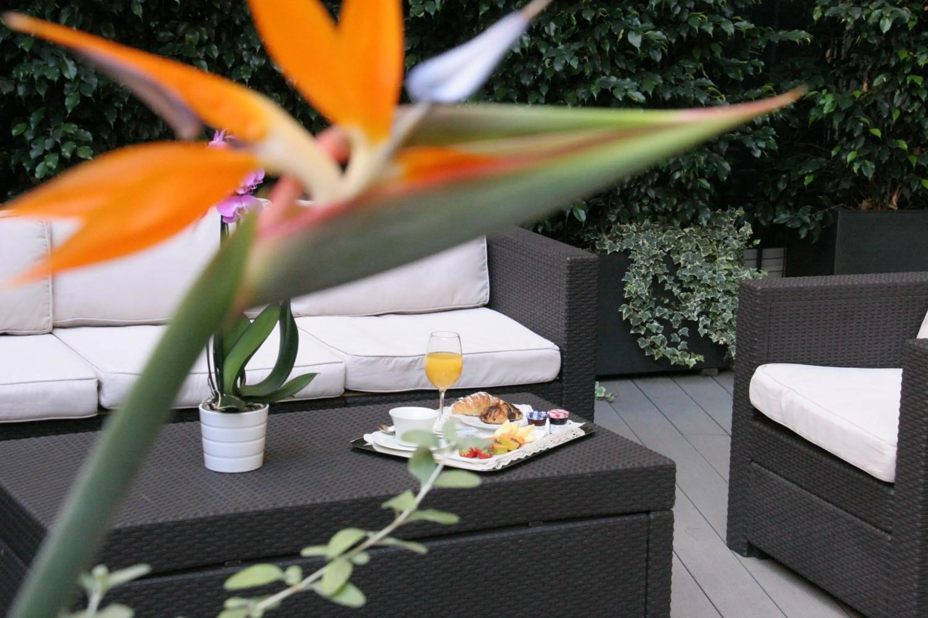 Garden in Anba Boutique