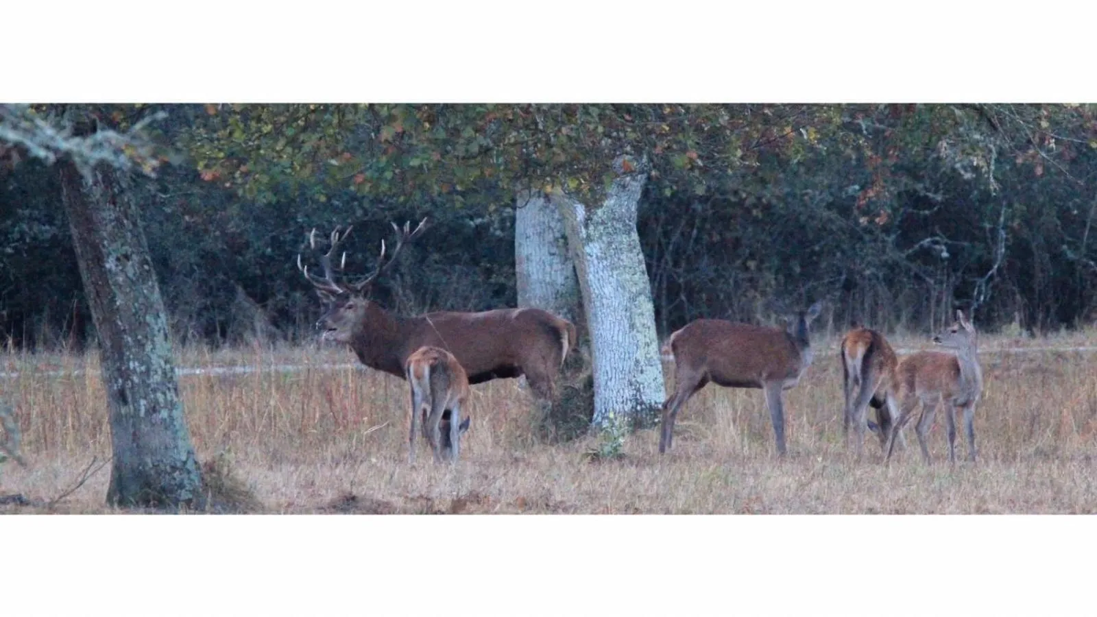 Manoir le Bout du Pont-Chambres d'Hôtes