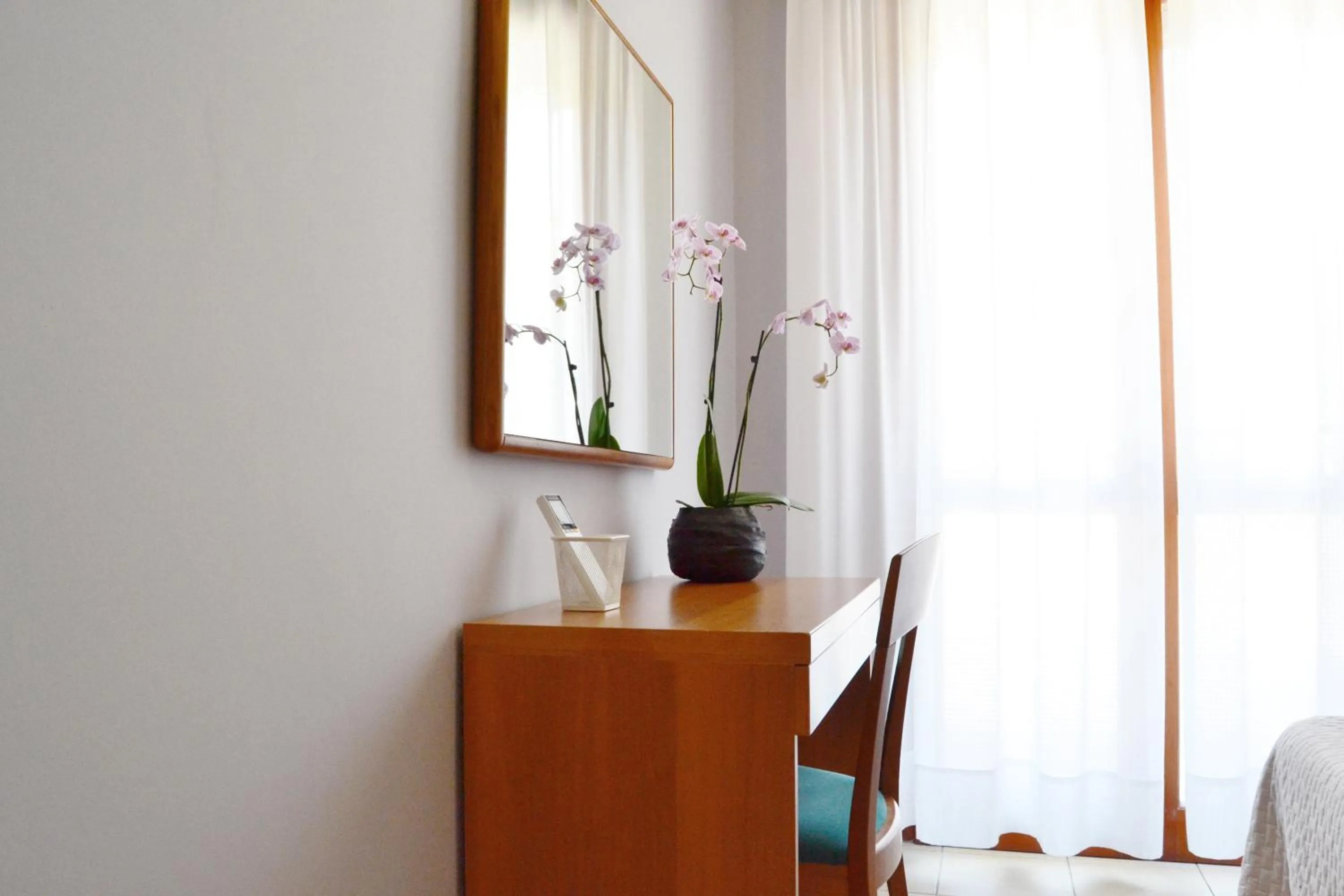 Area and facilities in Hotel My Fair