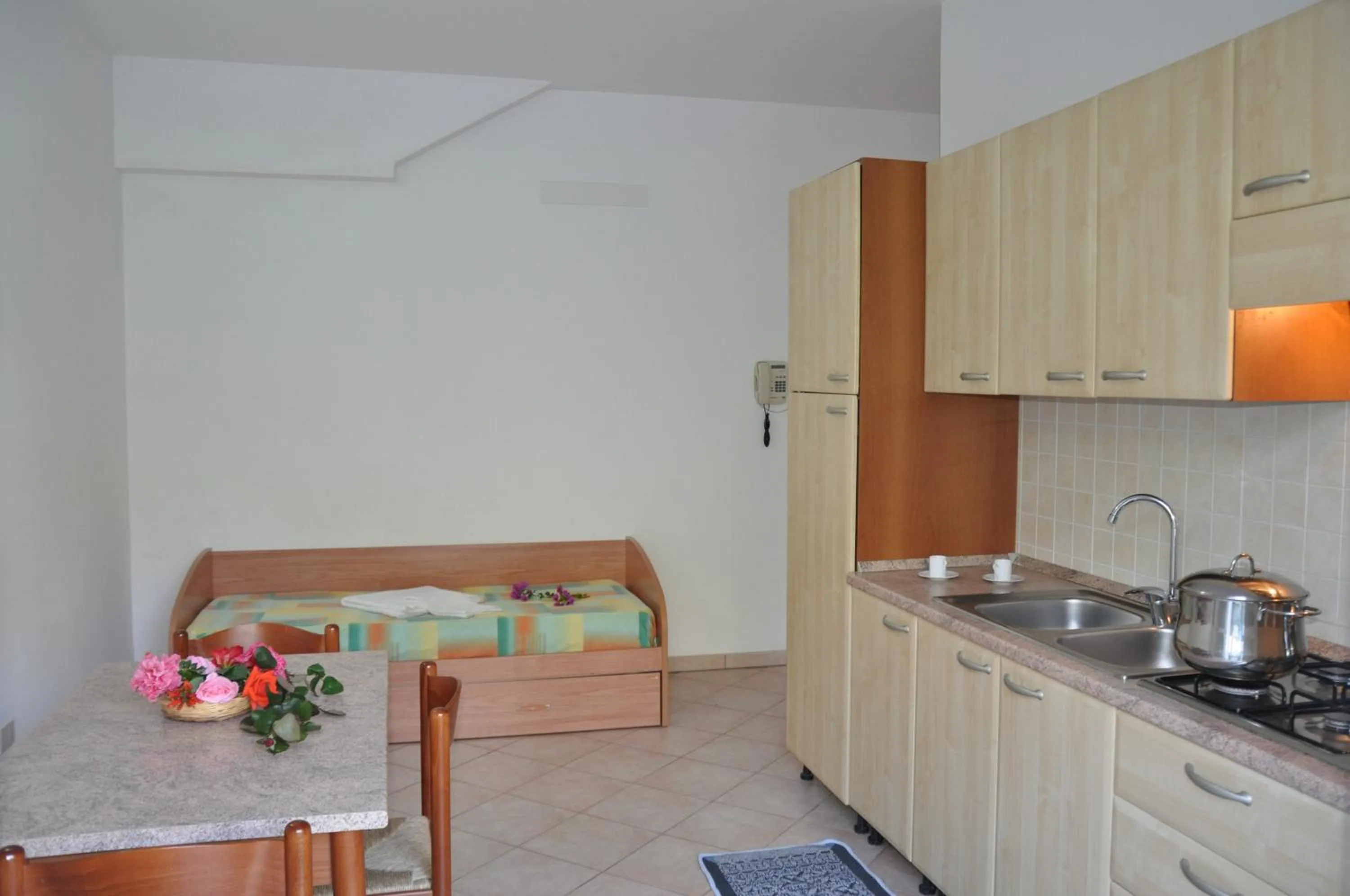 Kitchen or kitchenette in Rosy Hotel Residence