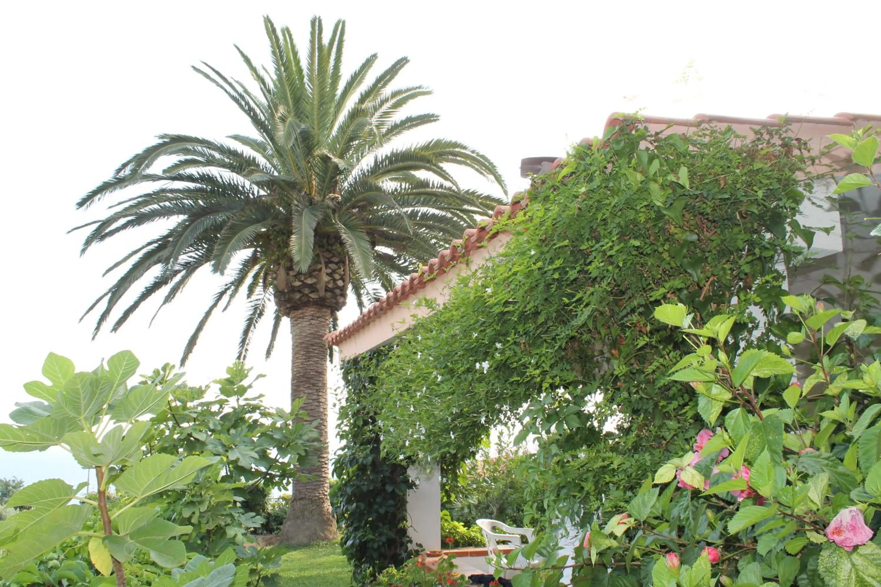 Garden in Rosy Hotel Residence