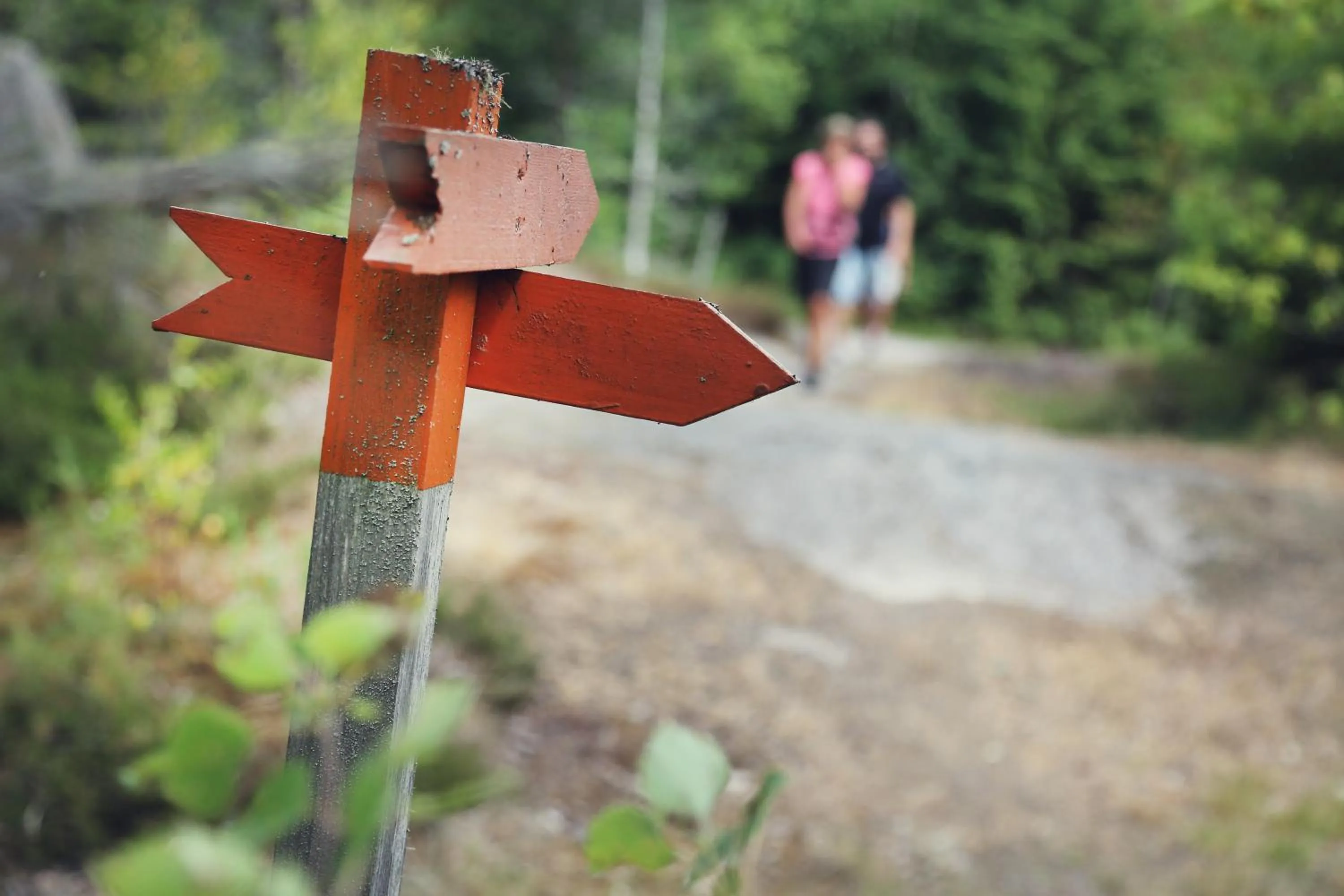Hiking in Stiftsgården Vårdnäs Hotell