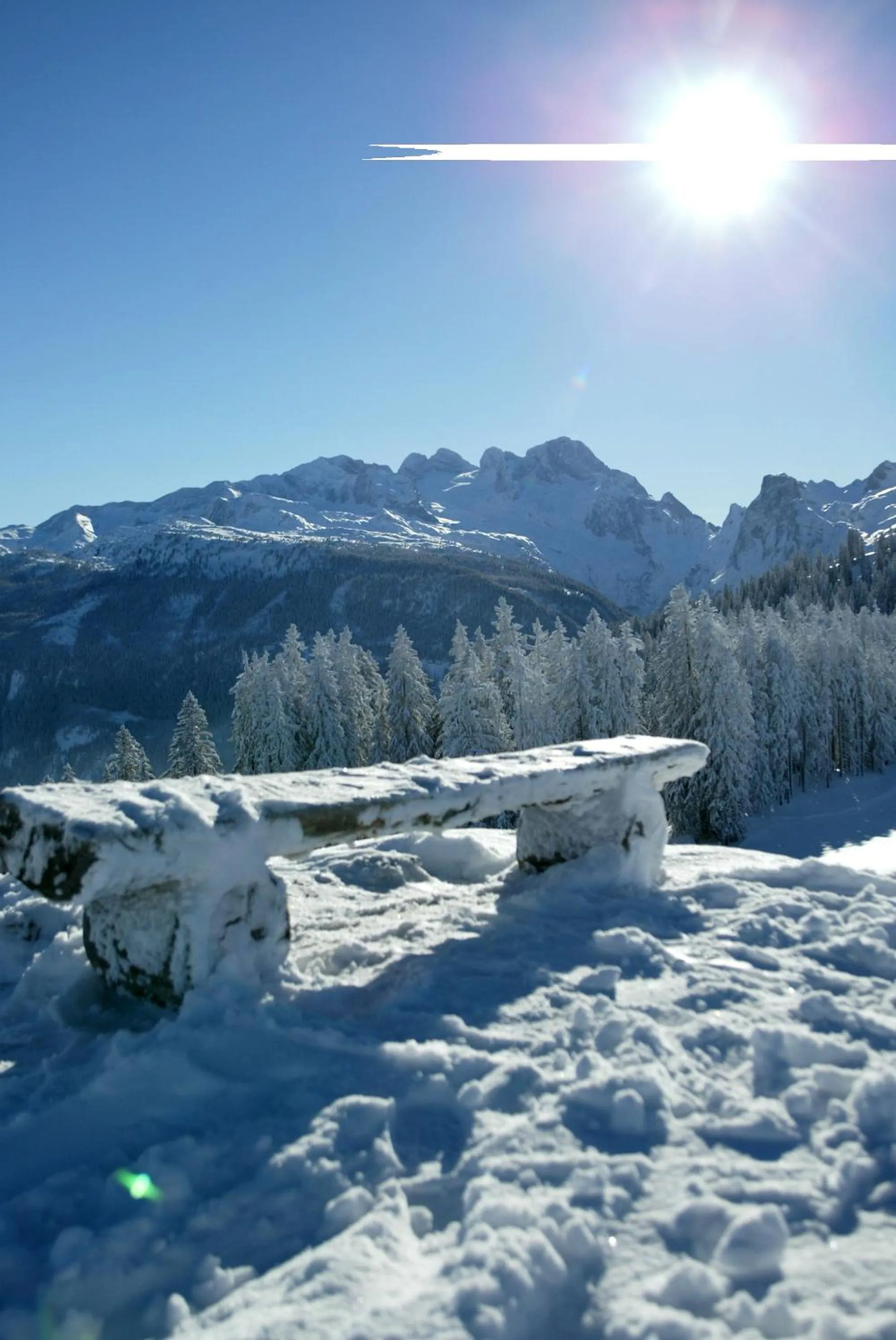 Day in Landhaus Schwaighofer Dachstein West
