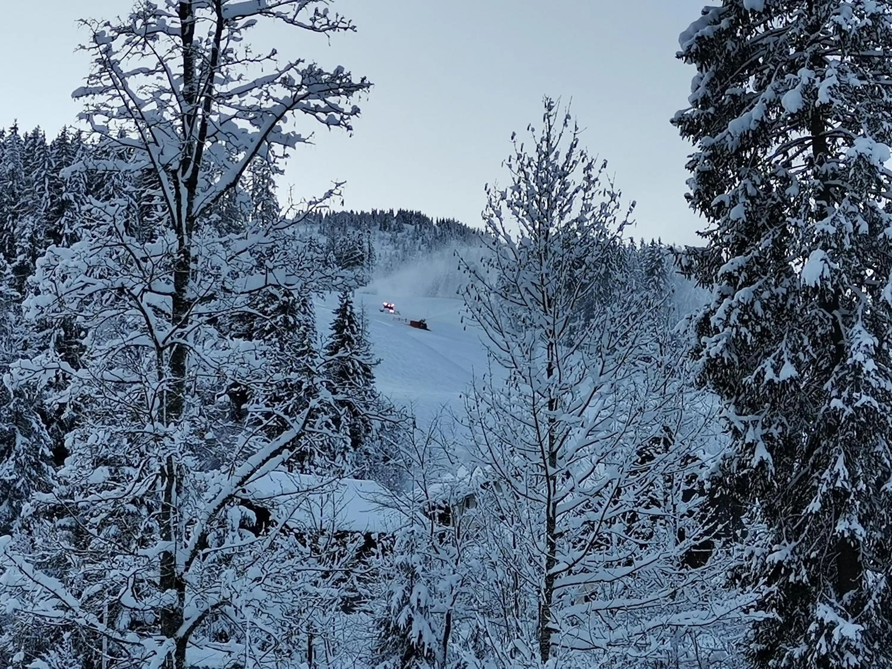 Sauna in Landhaus Schwaighofer Dachstein West
