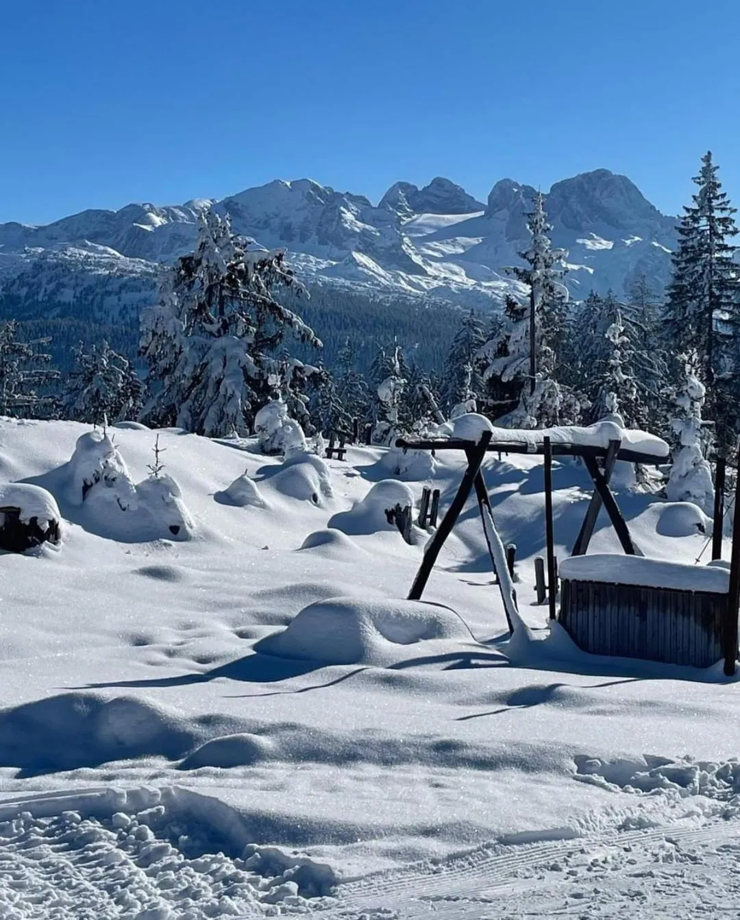 Landhaus Schwaighofer Dachstein West