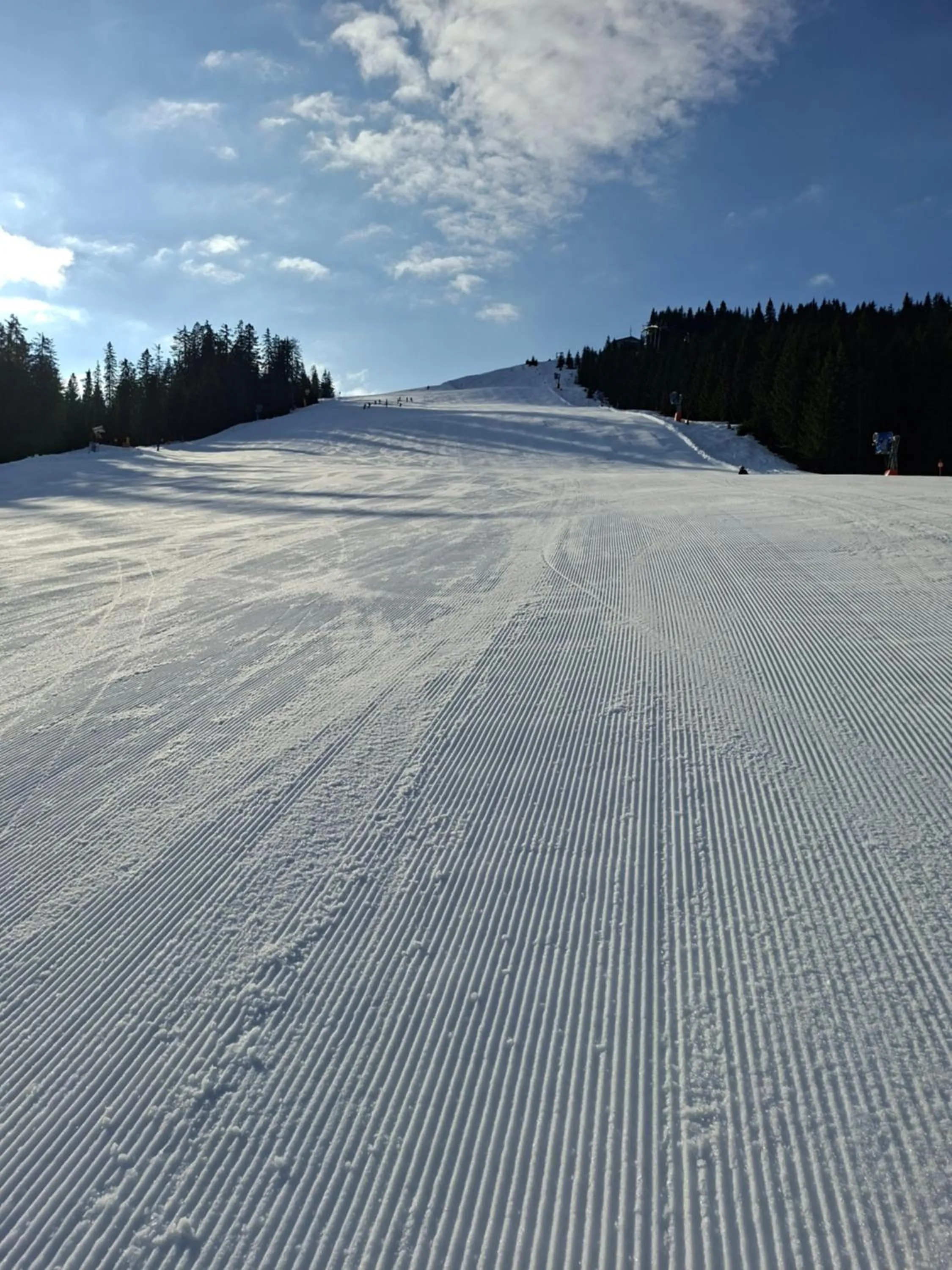 Landhaus Schwaighofer Dachstein West