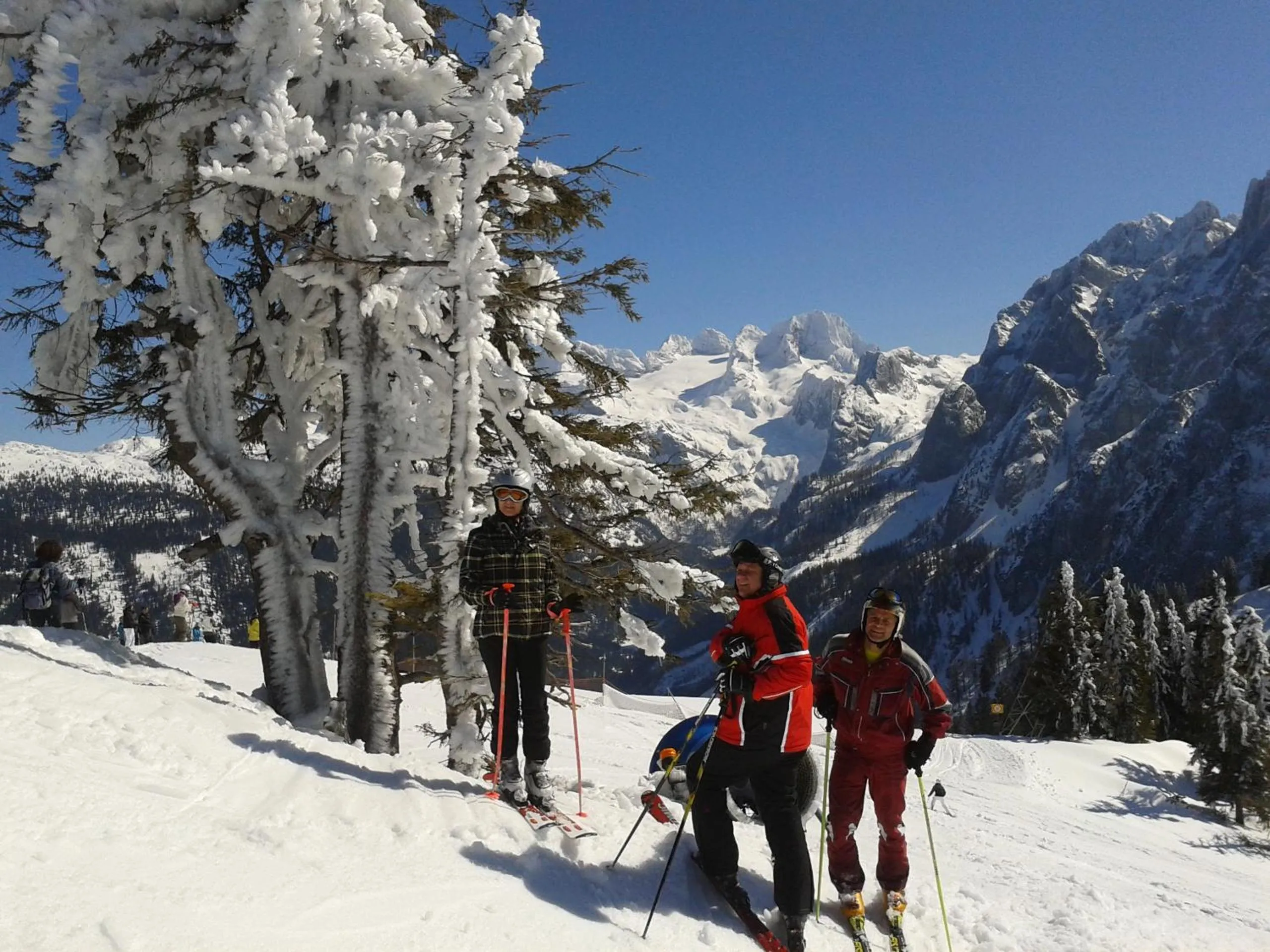 Skiing in Landhaus Schwaighofer Dachstein West