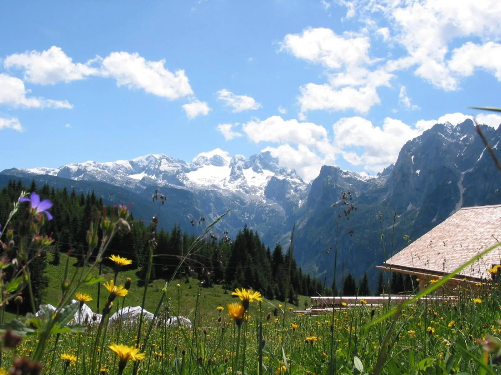 Nearby landmark in Landhaus Schwaighofer Dachstein West