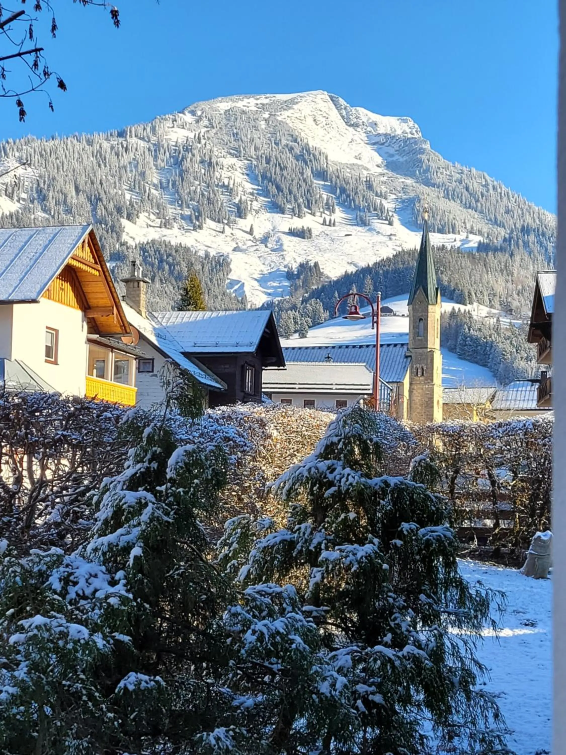 View (from property/room) in Landhaus Schwaighofer Dachstein West