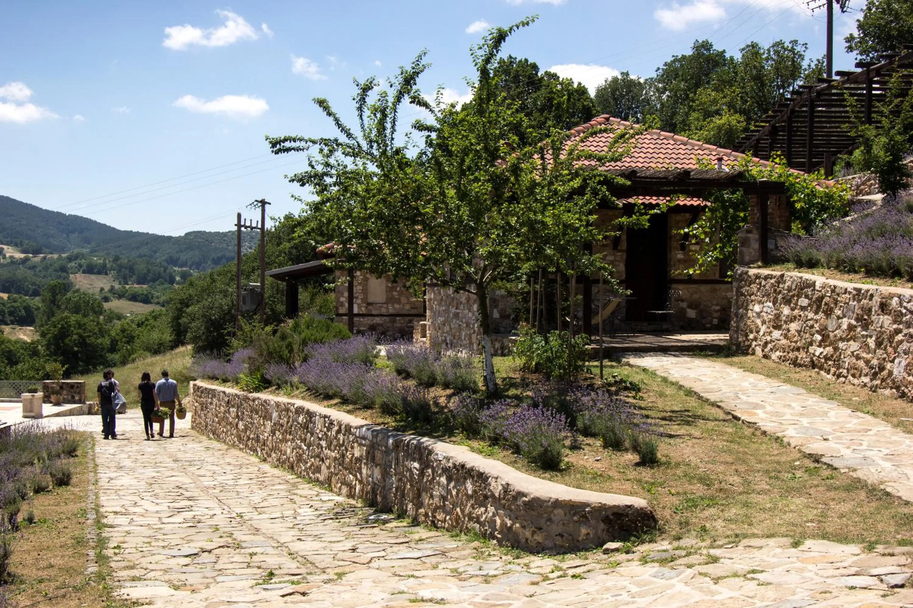 Patio in Ktima Bellou