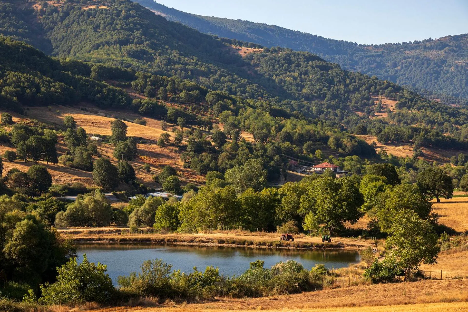 Natural landscape in Ktima Bellou
