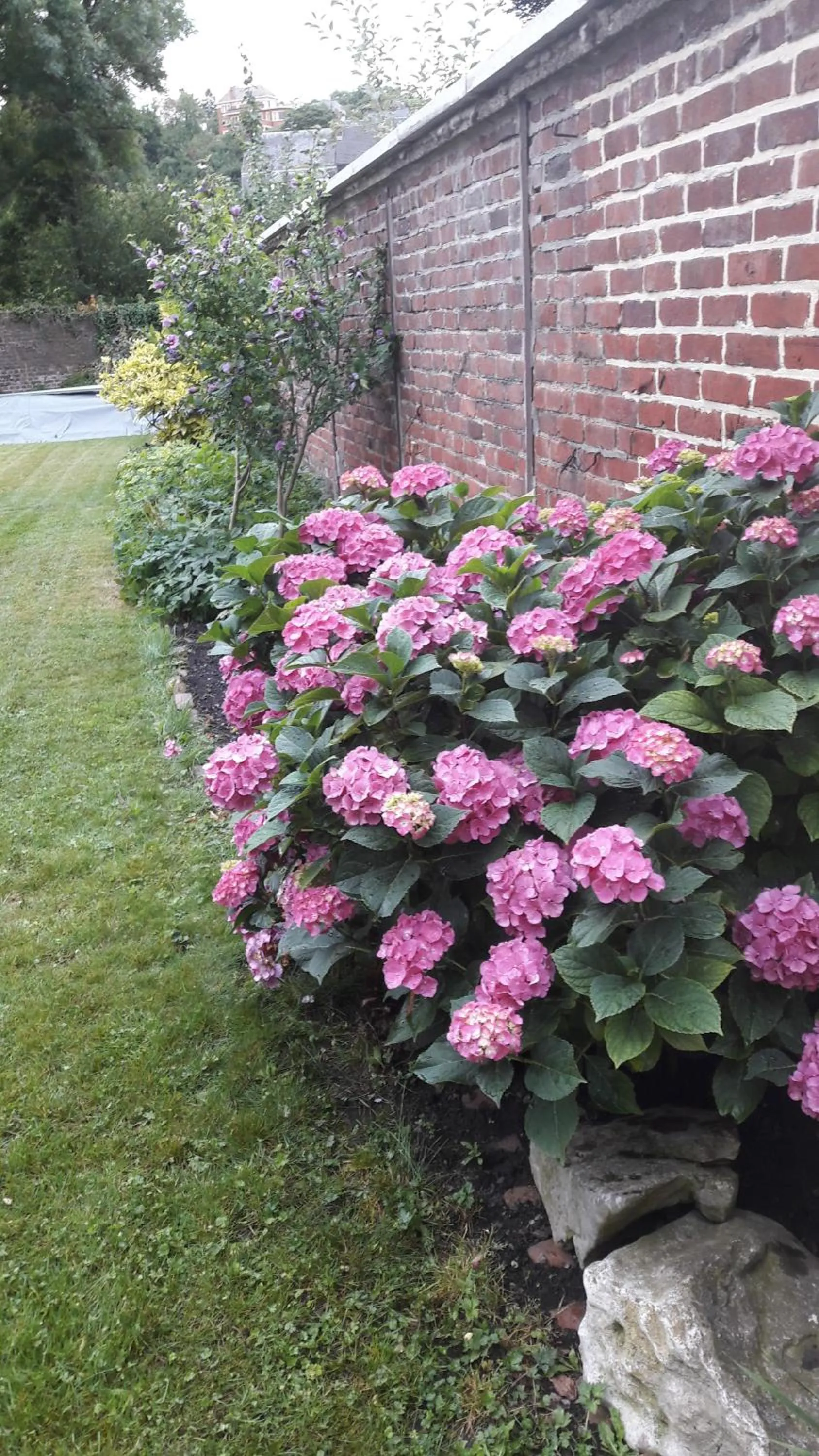 Garden in Office des bons enfants