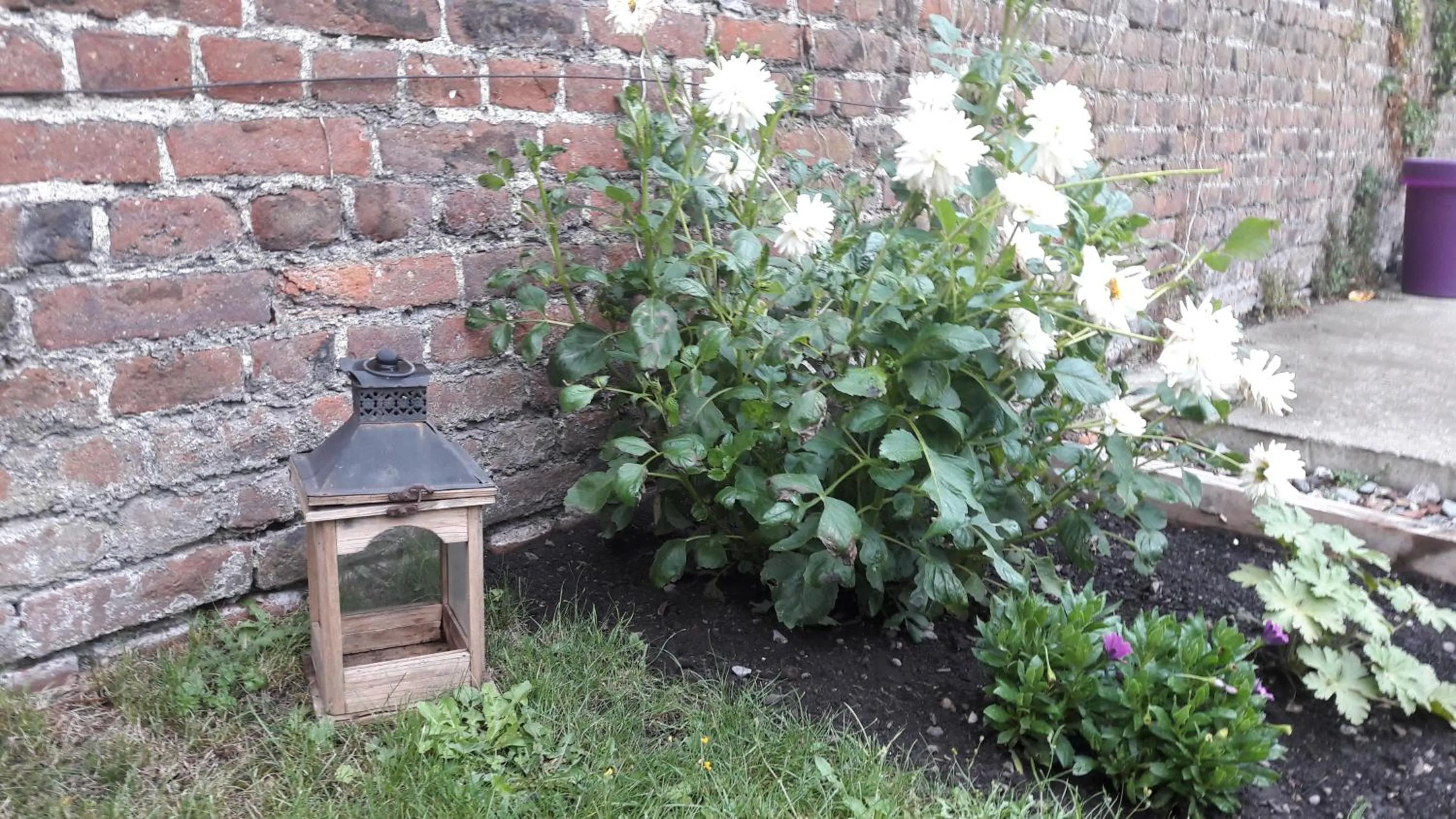 Garden in Office des bons enfants