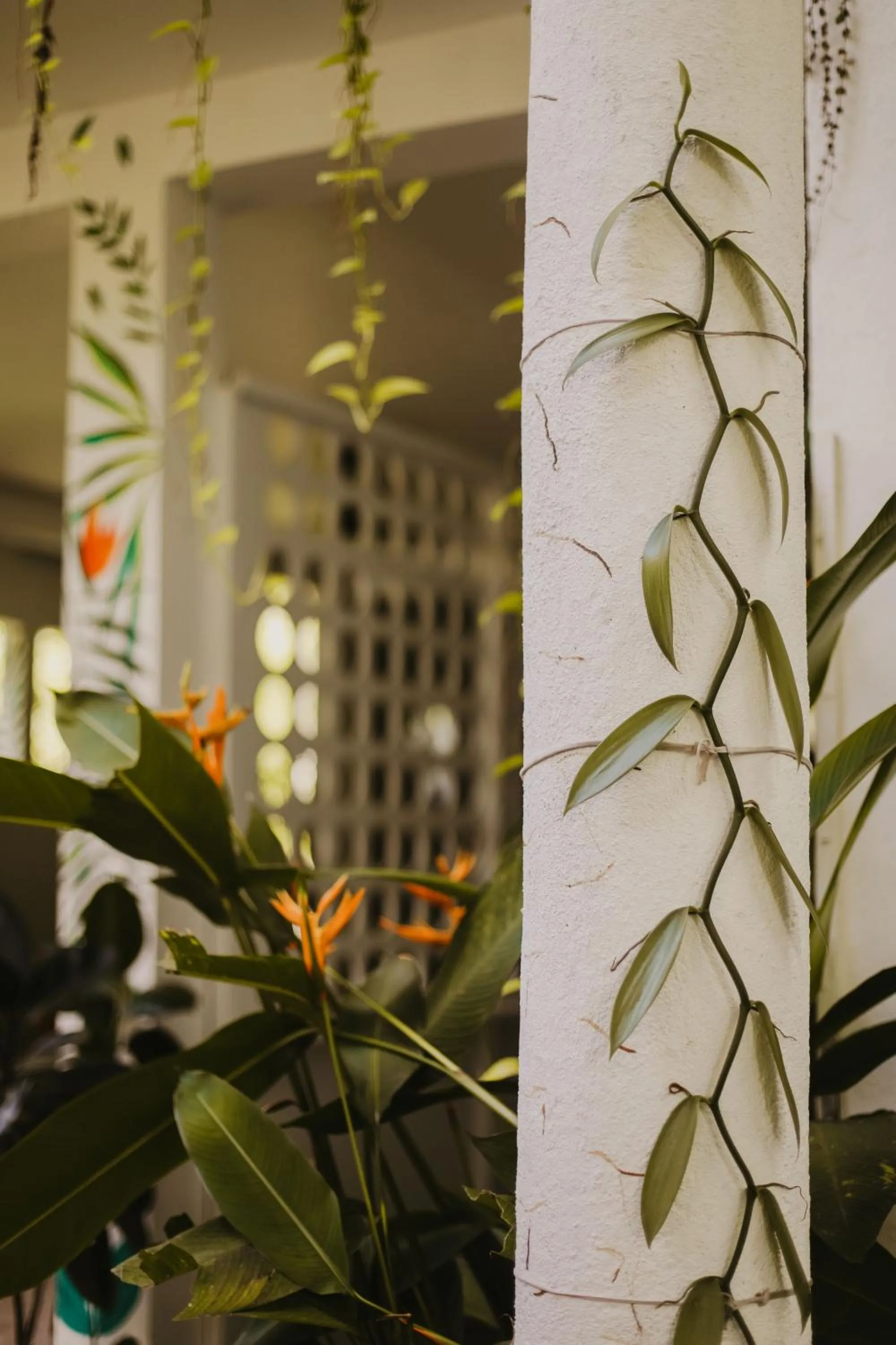 Facade/entrance in Jungle Soul