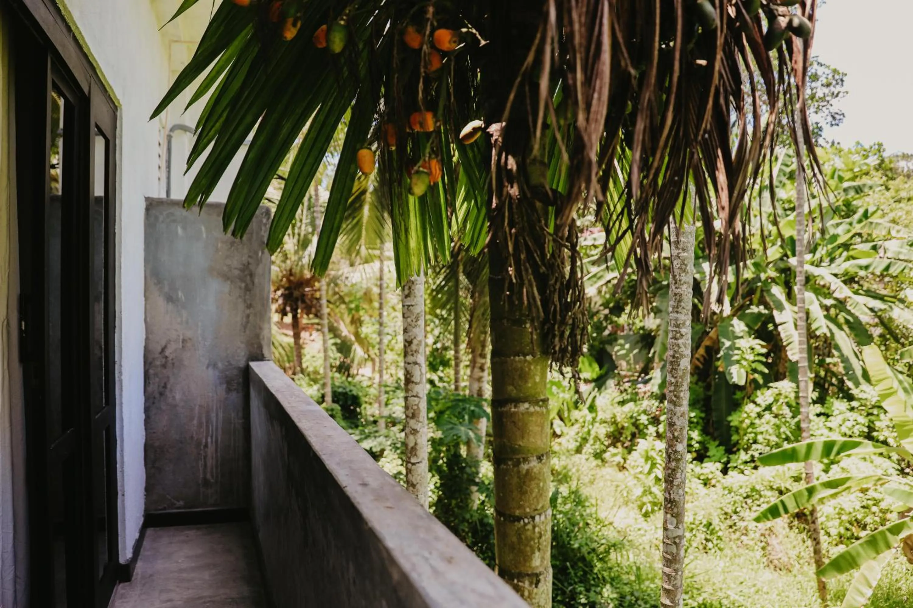Balcony/Terrace in Jungle Soul