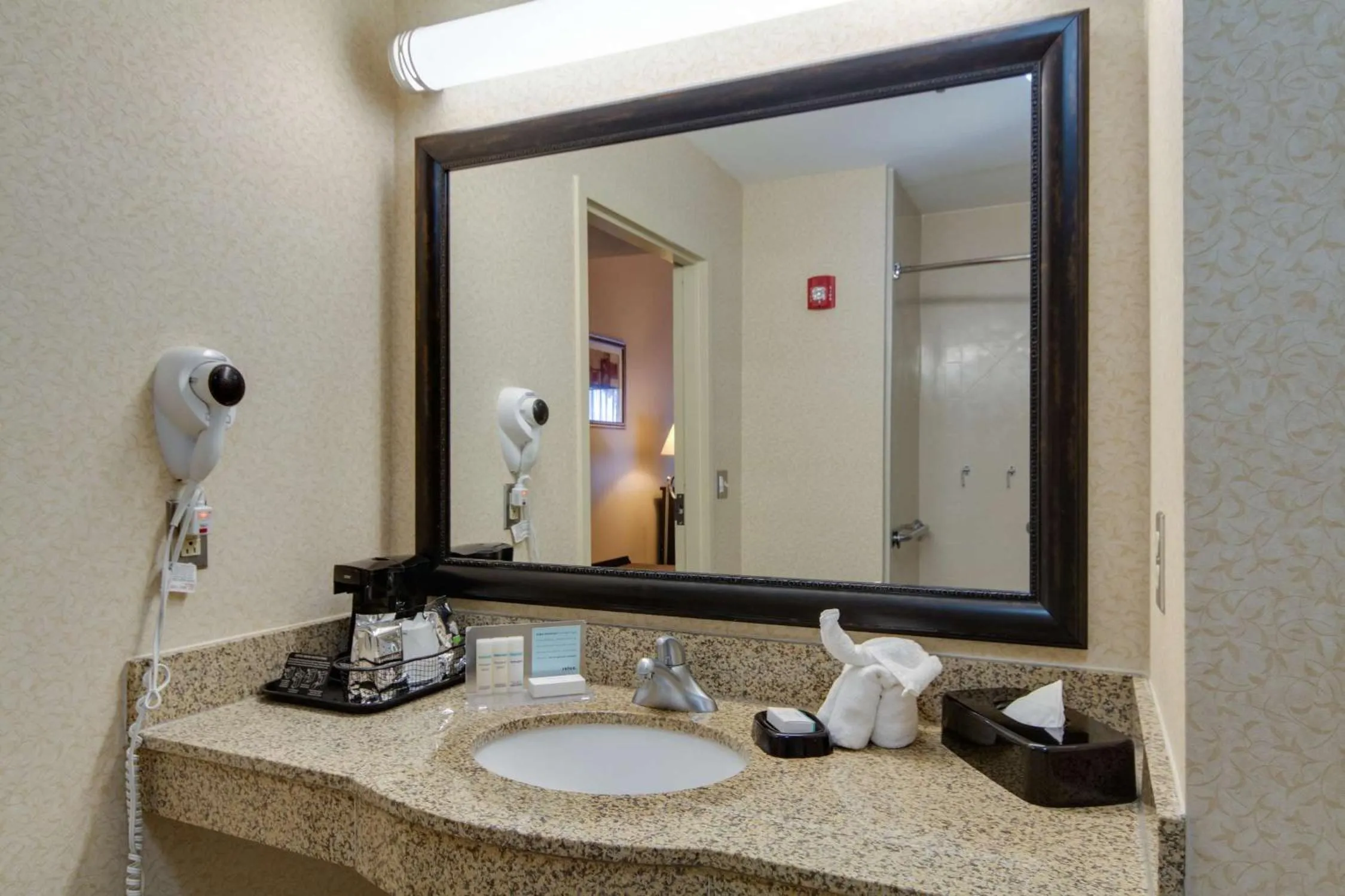 Bathroom in Hampton Inn & Suites Las Cruces I-25