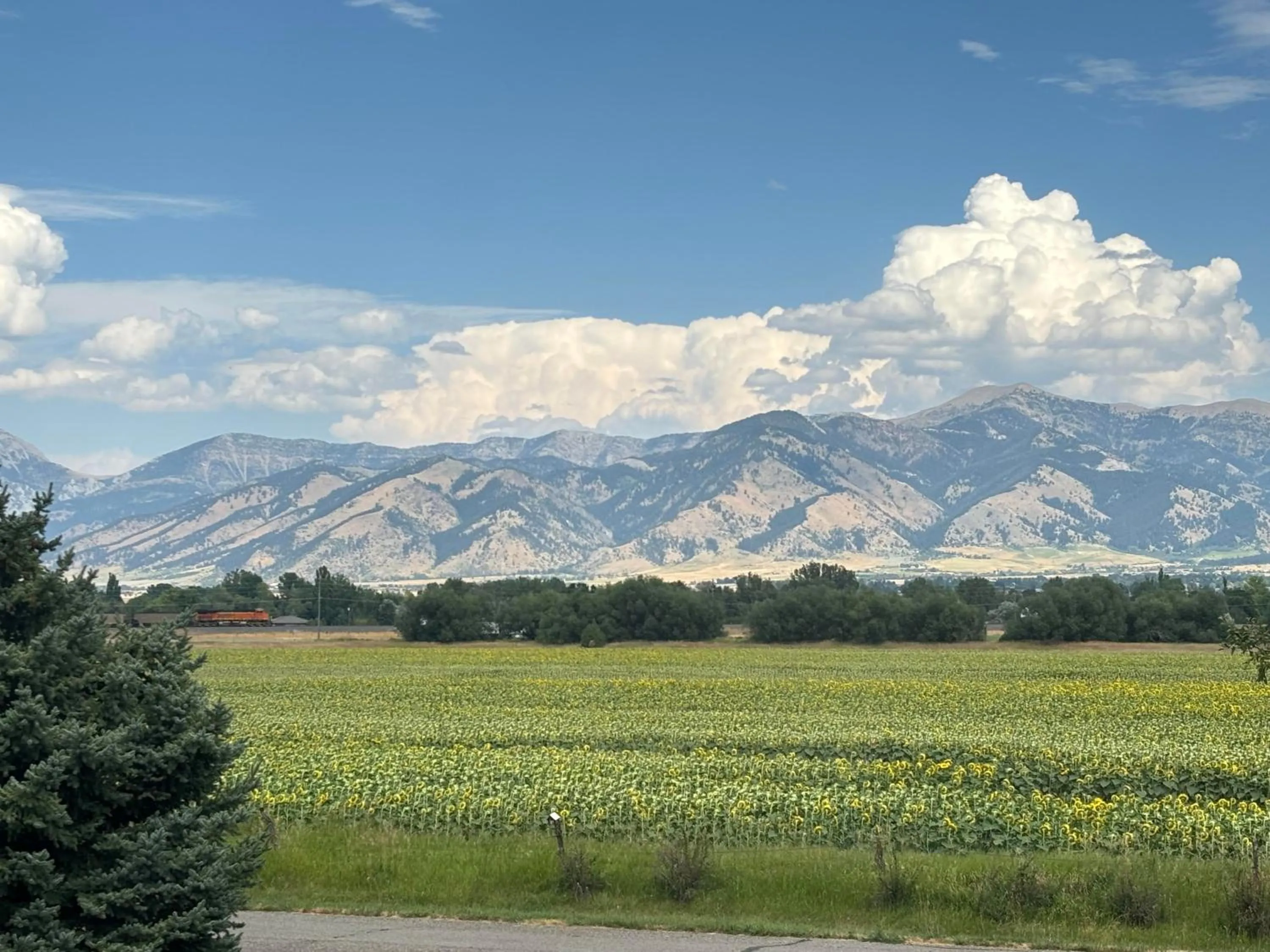 Natural landscape in Fox Hollow Inn