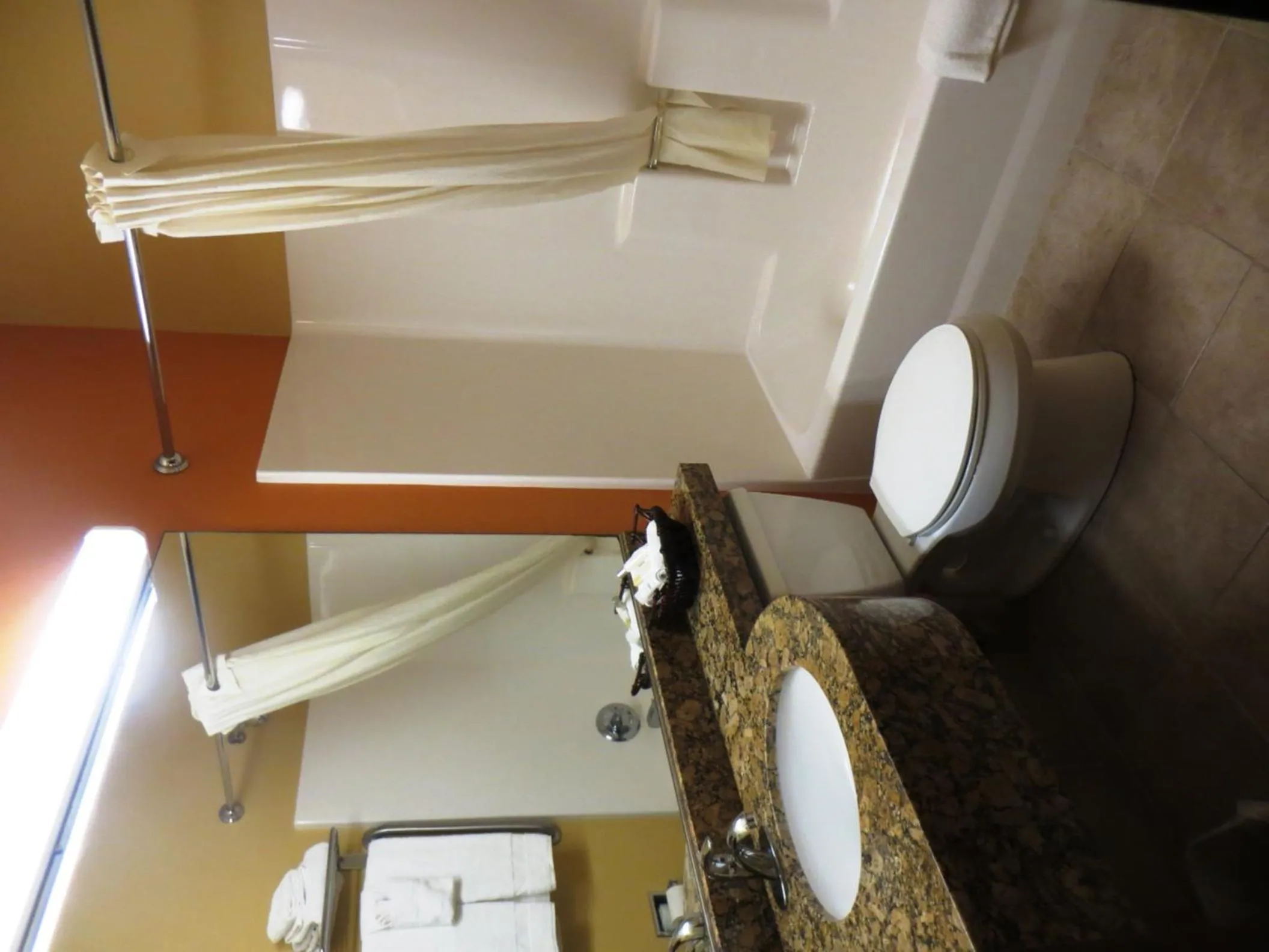 Shower in Microtel by Wyndham South Bend Notre Dame University