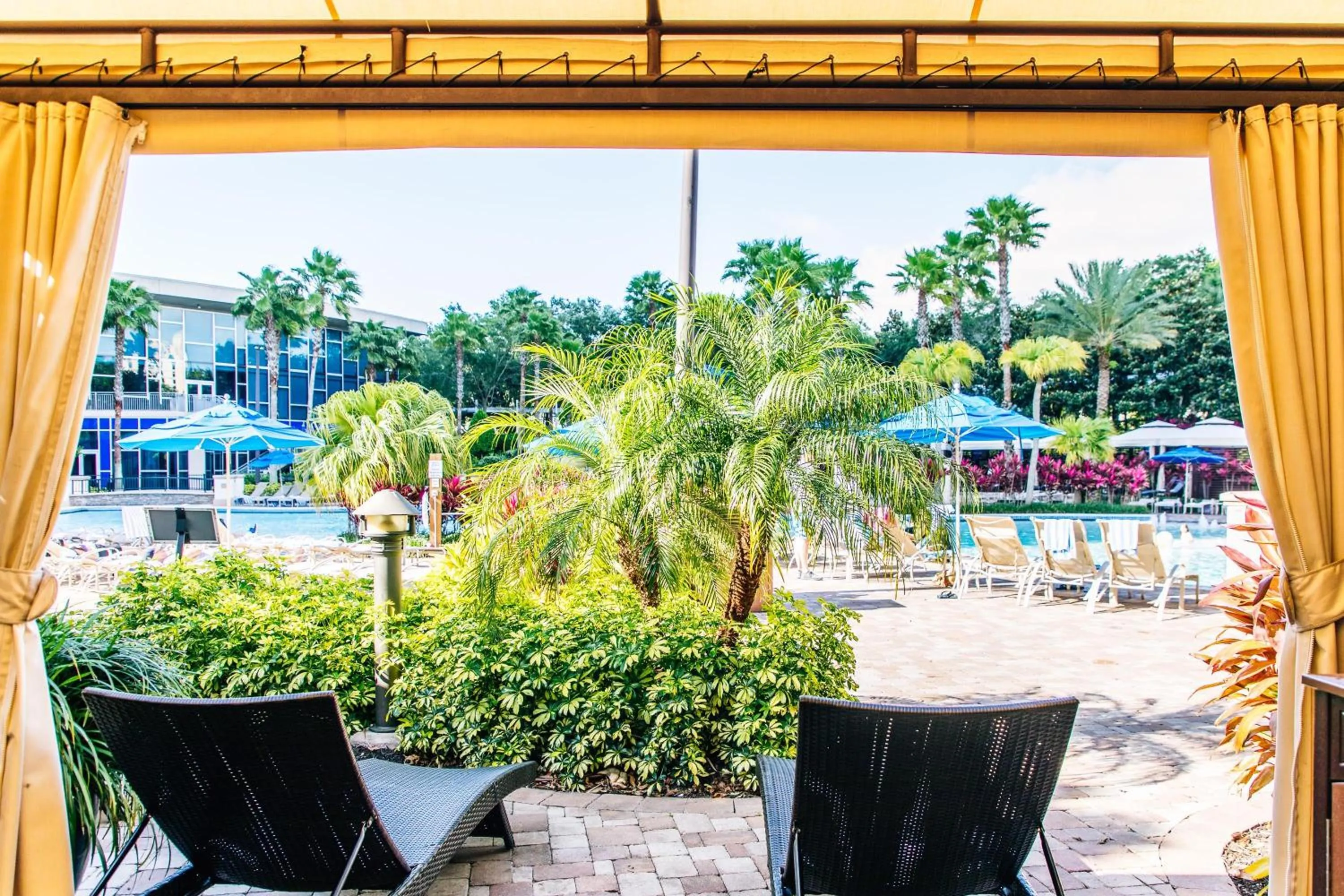 Swimming pool in Hyatt Regency Orlando