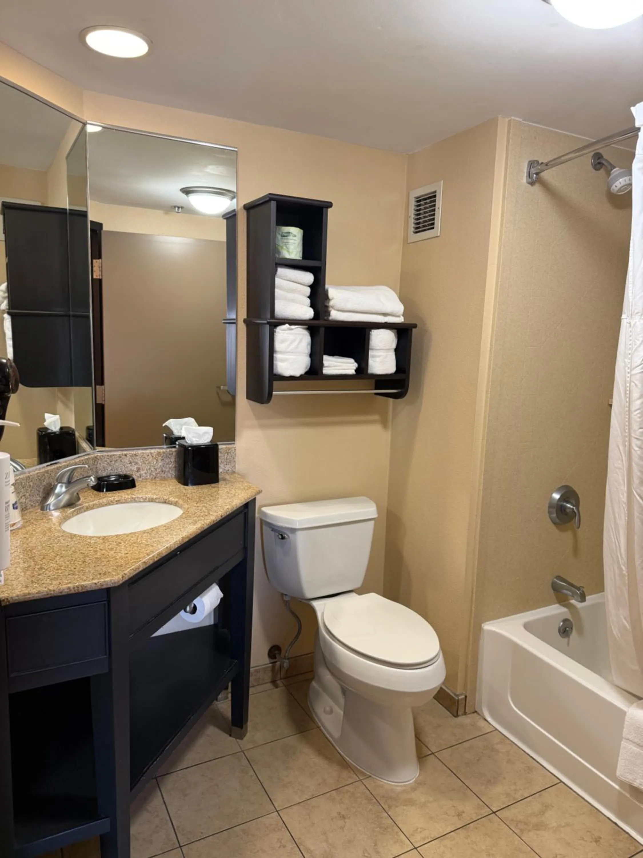 Bathroom in Hampton Inn Harrisburg/Grantville/Hershey