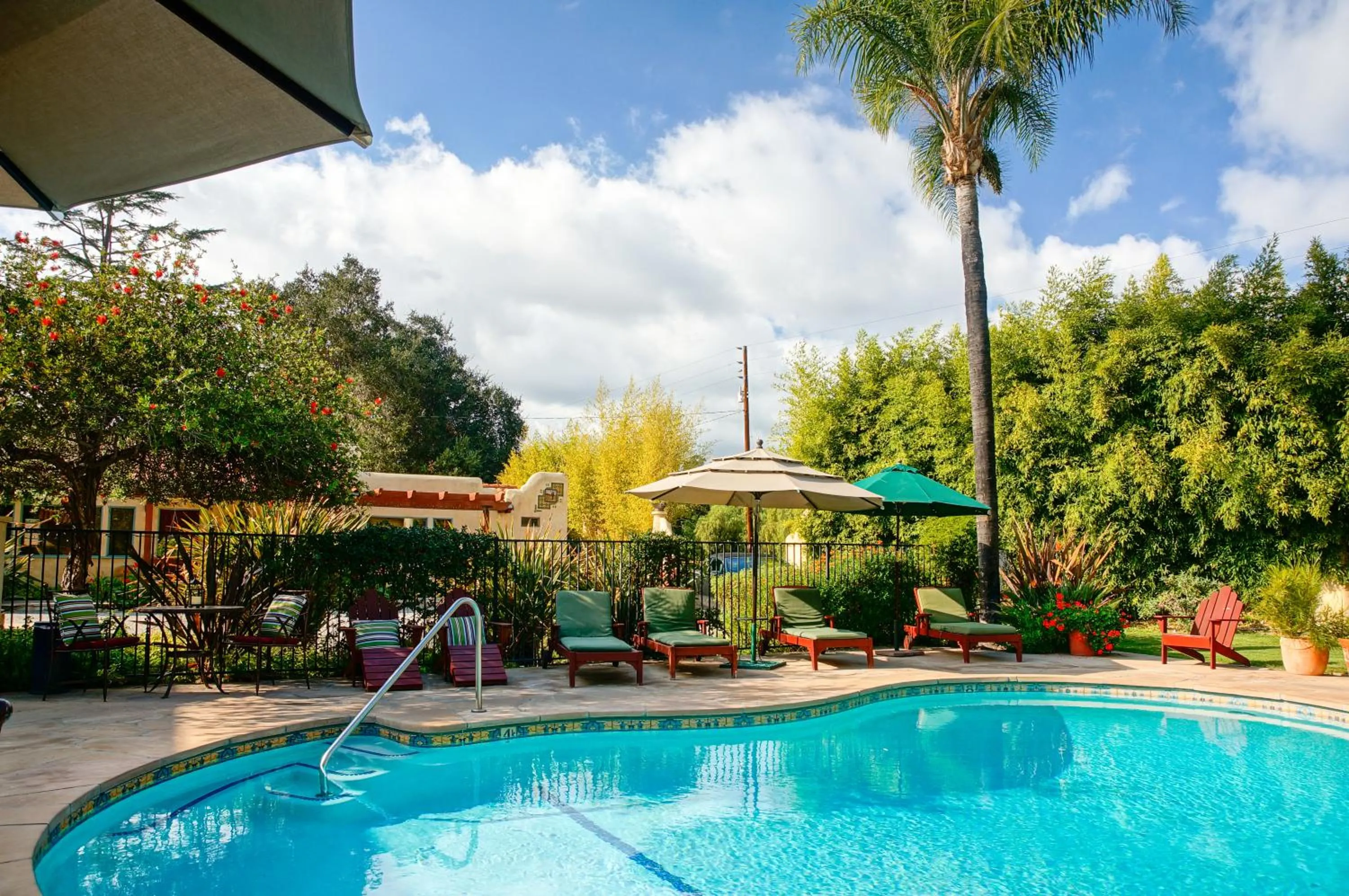Swimming pool in Blue Iguana Inn