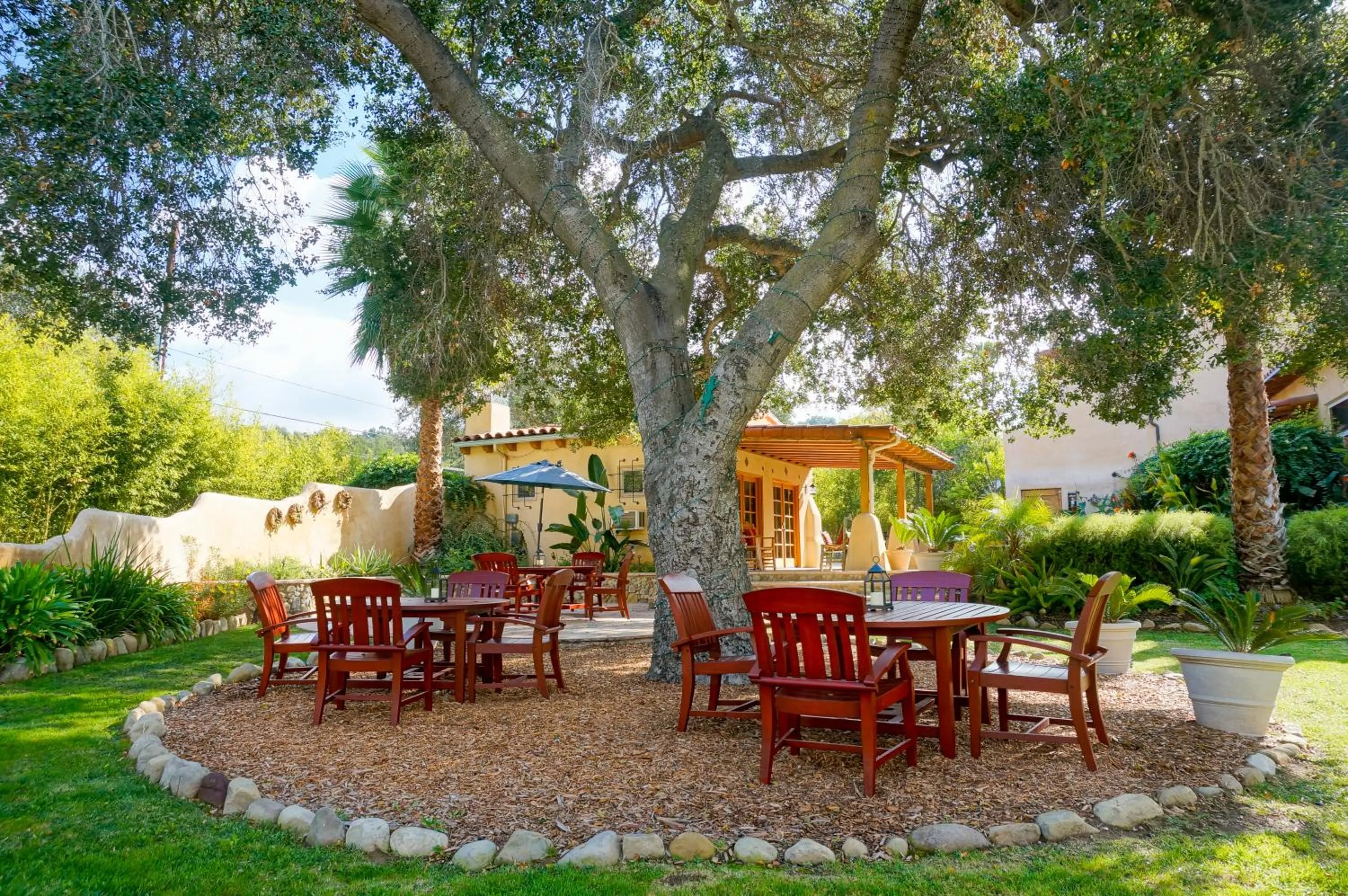 Restaurant/places to eat in Blue Iguana Inn