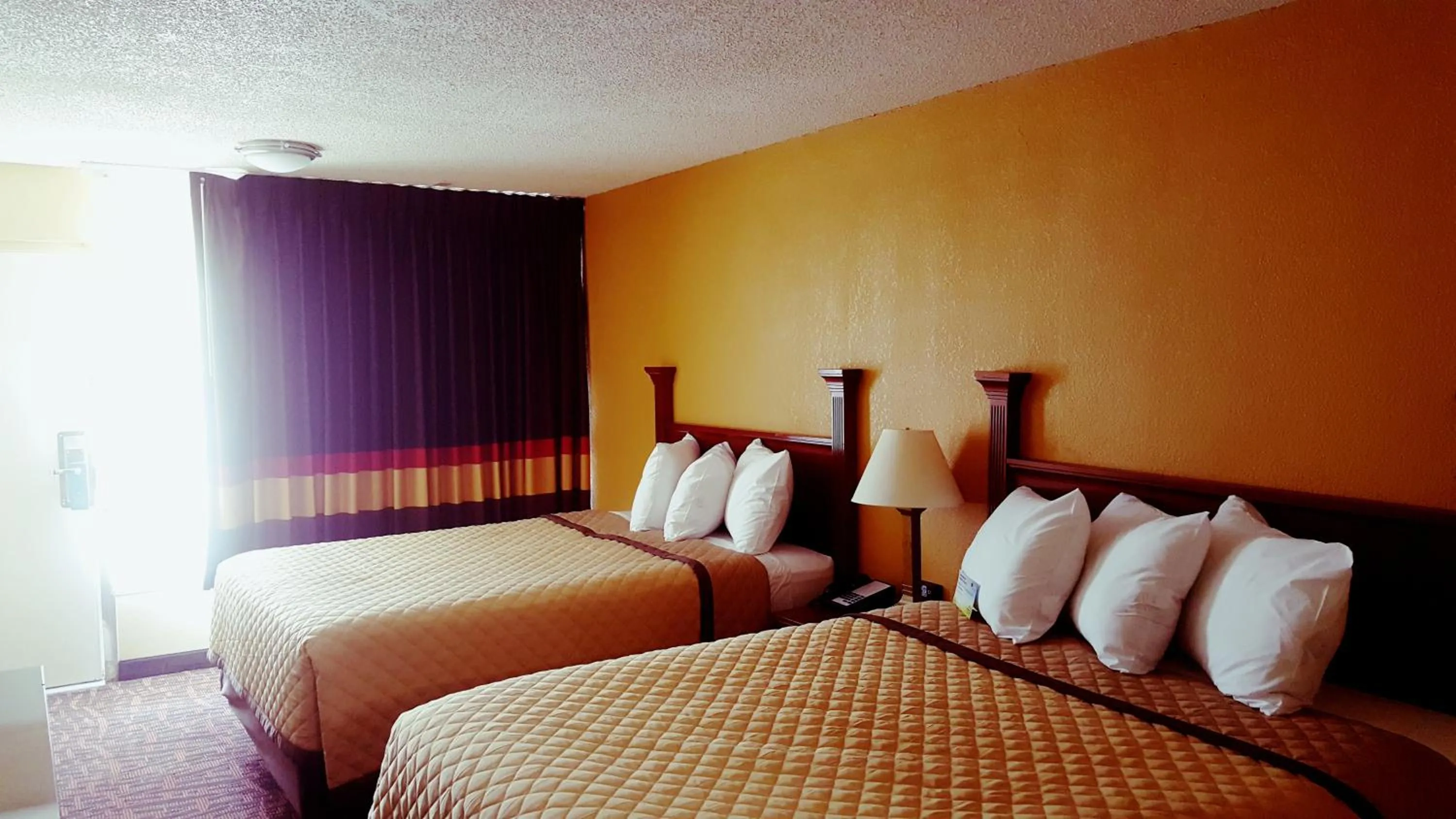 Photo of the whole room, Bed in Rodeway Inn Concord - Kannapolis