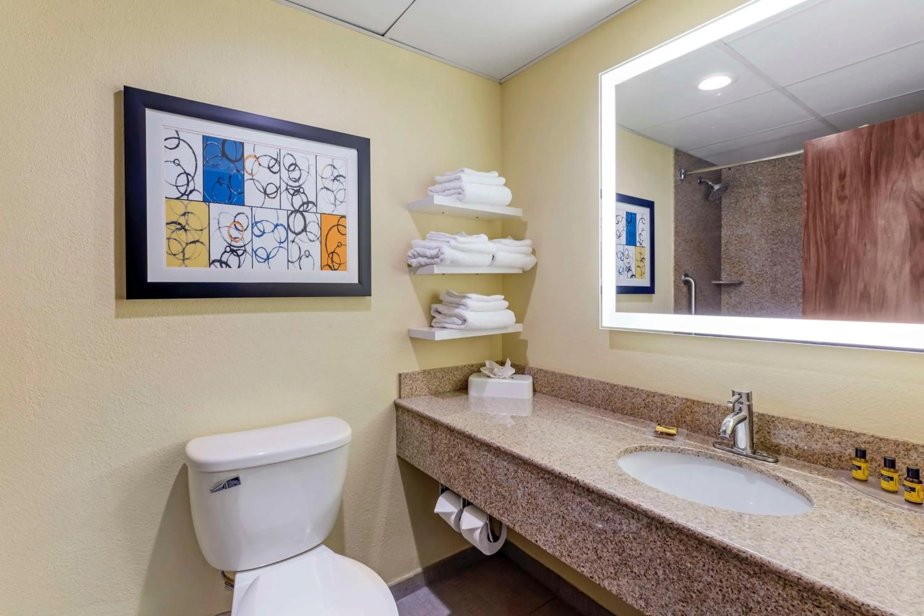 Bathroom in Best Western Plus North Shore Hotel