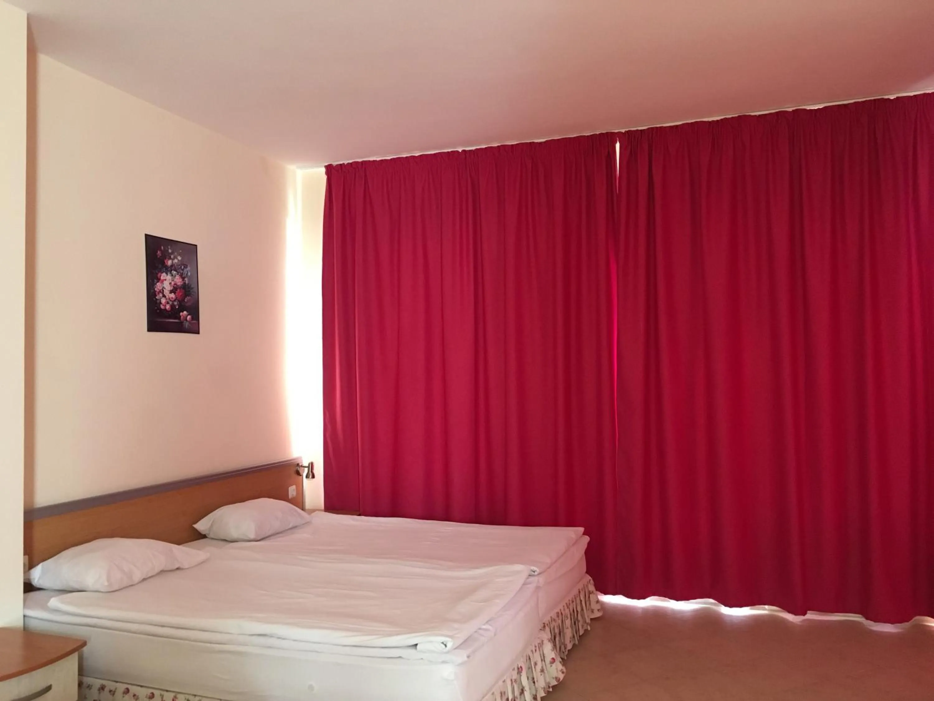 Photo of the whole room in Hotel Atol