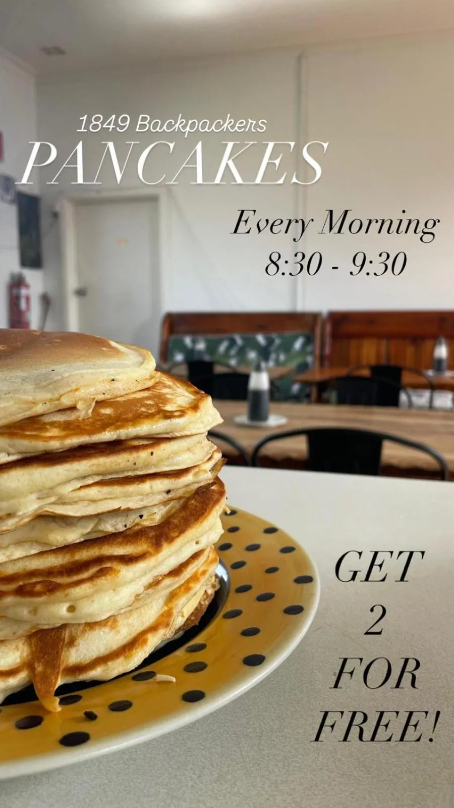 Food and drinks in 1849 Backpackers Albany