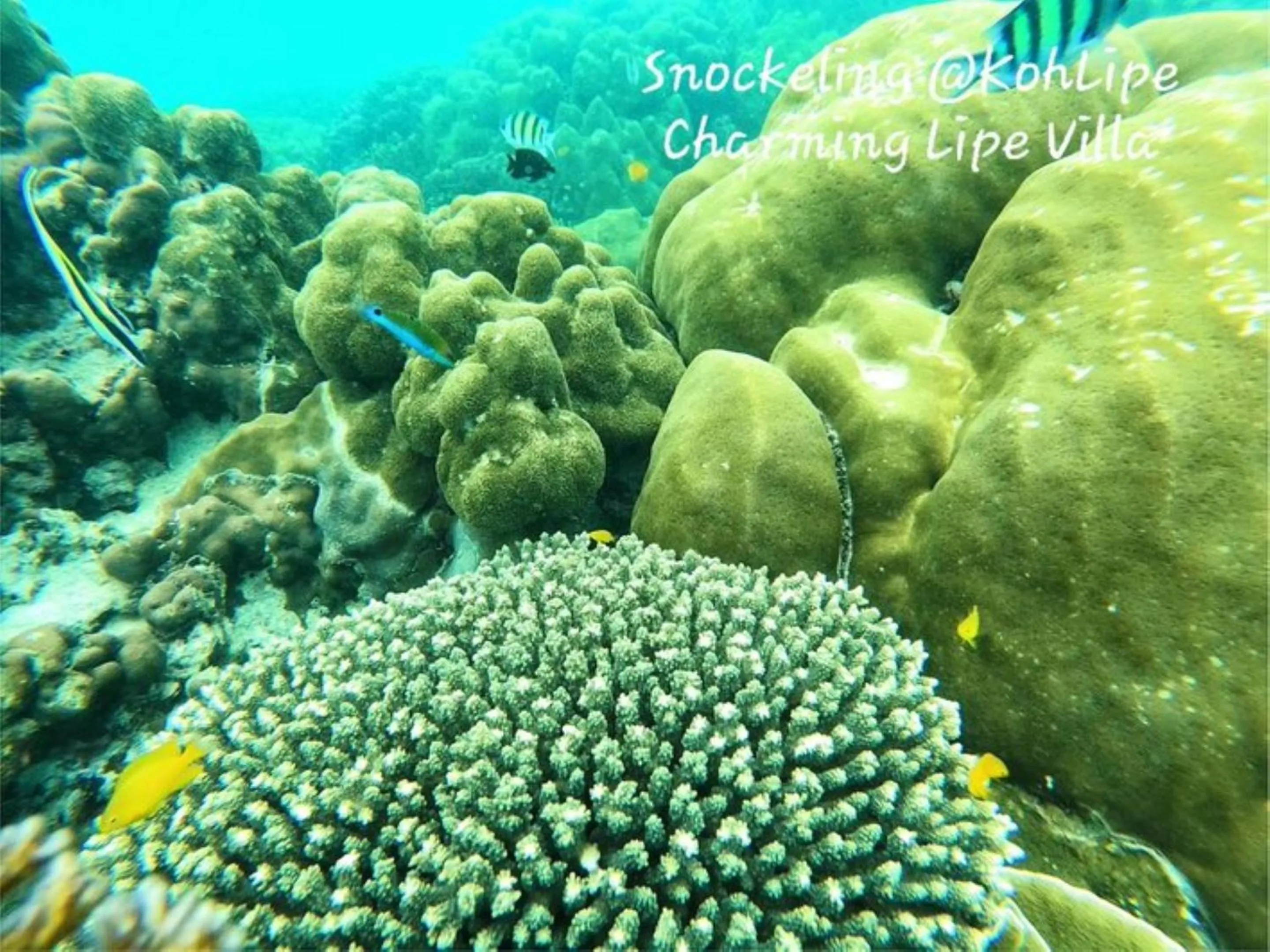 Activities in Charming Lipe Beach Resort