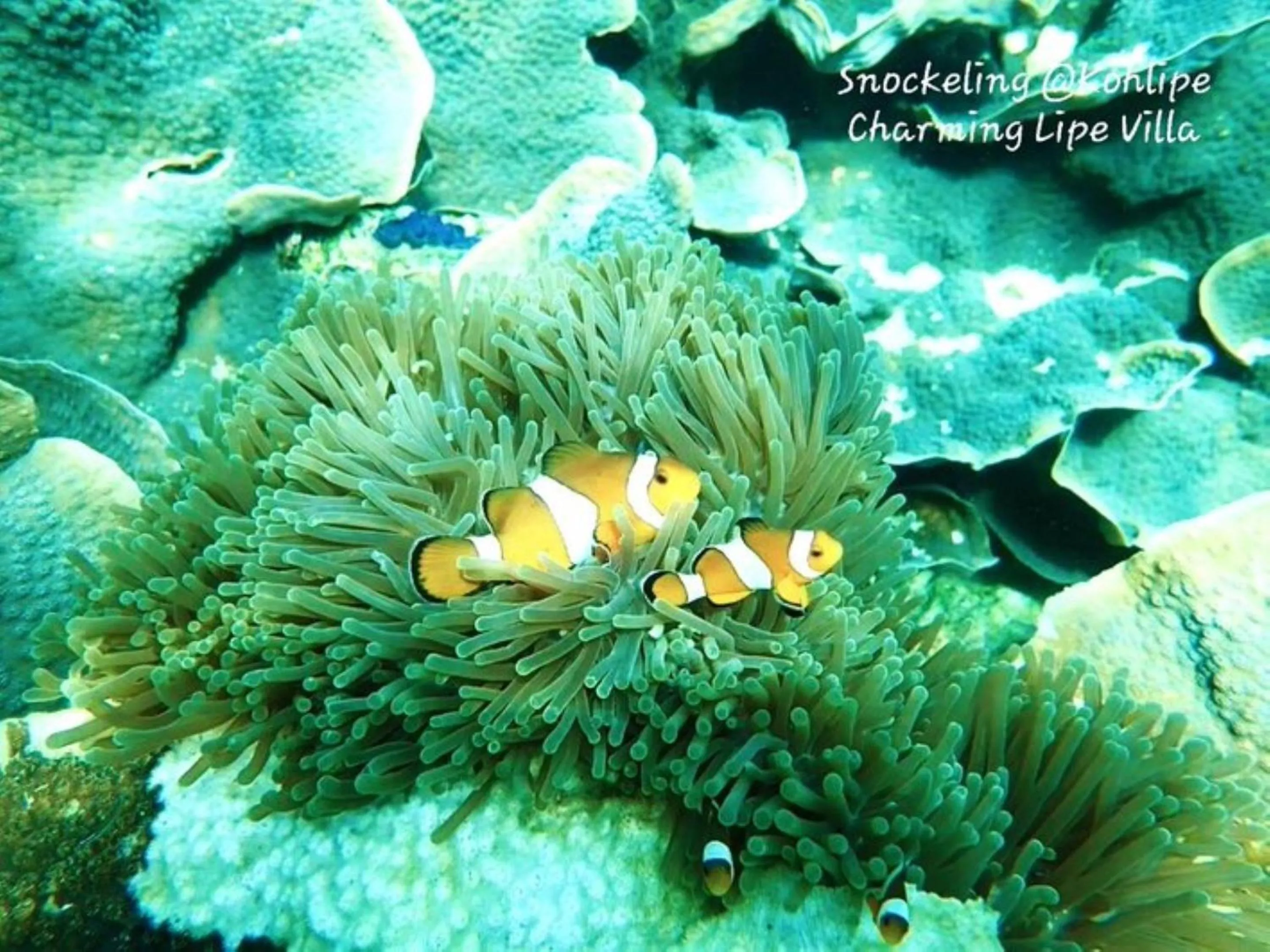 Activities in Charming Lipe Beach Resort