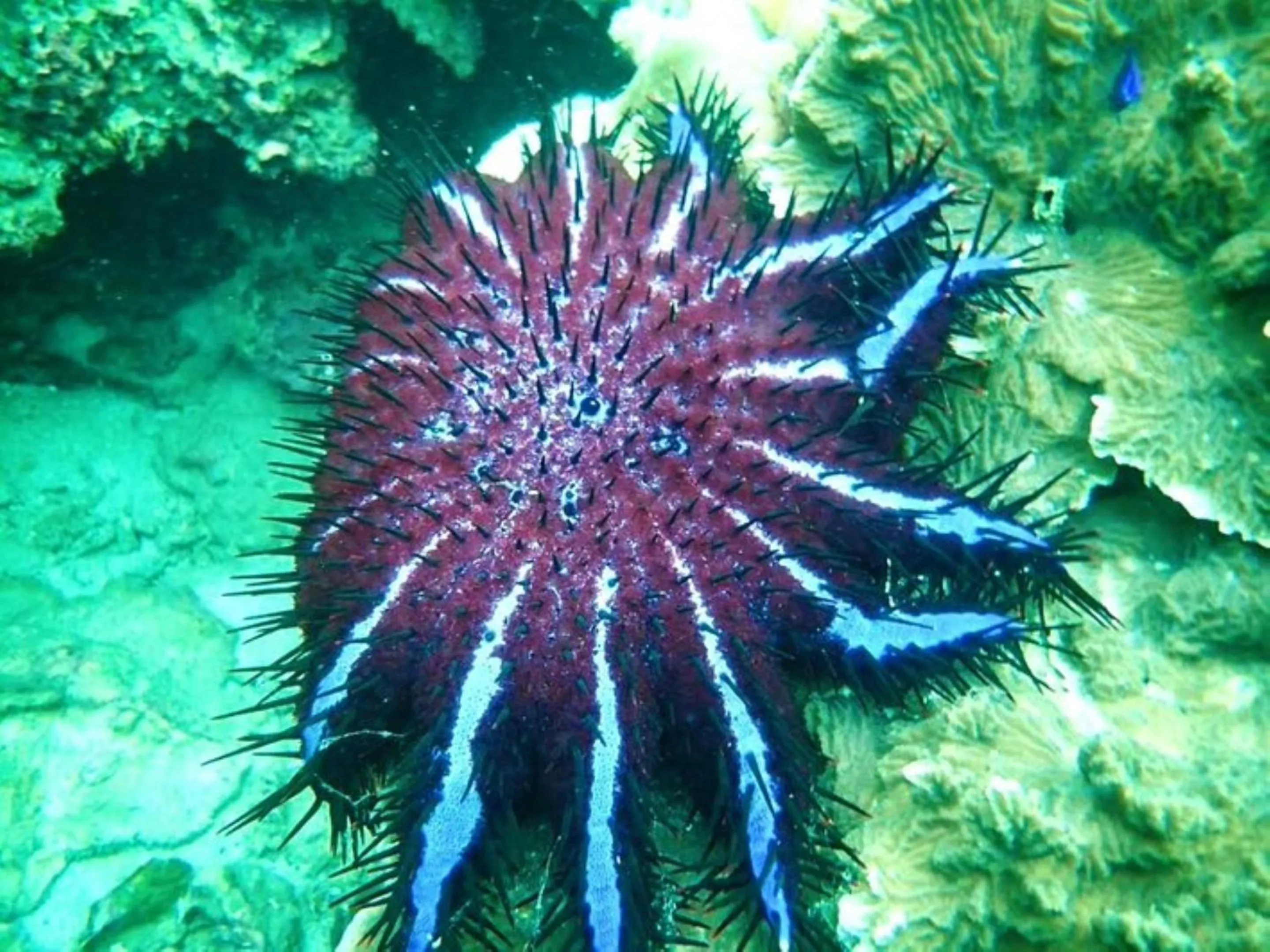 Activities in Charming Lipe Beach Resort