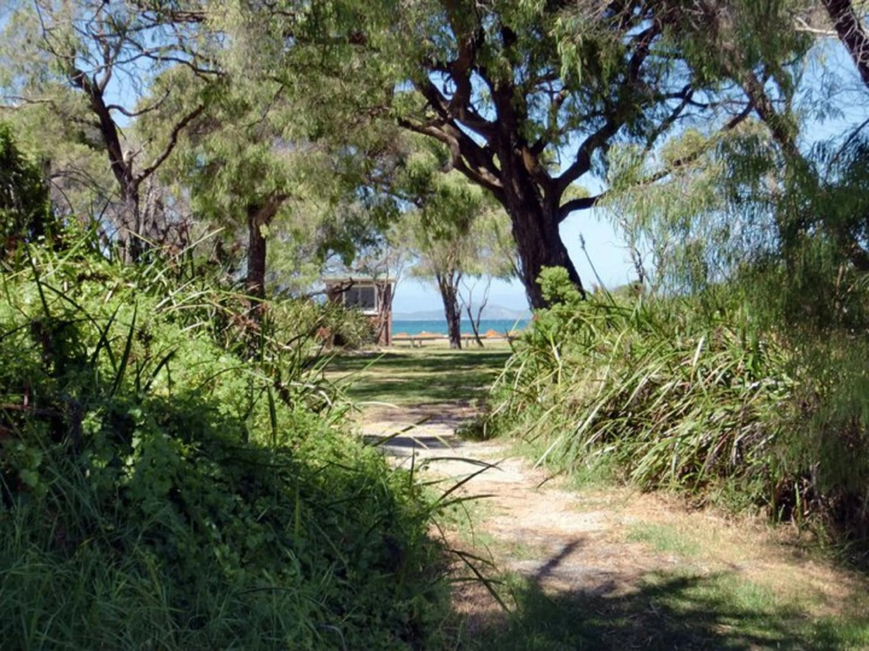 Garden in Havana Villas